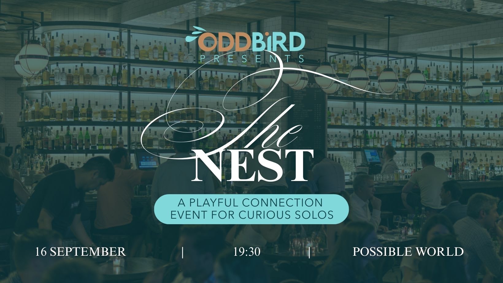 The Nest - A Playful Connection Night For Curious Solos Cover