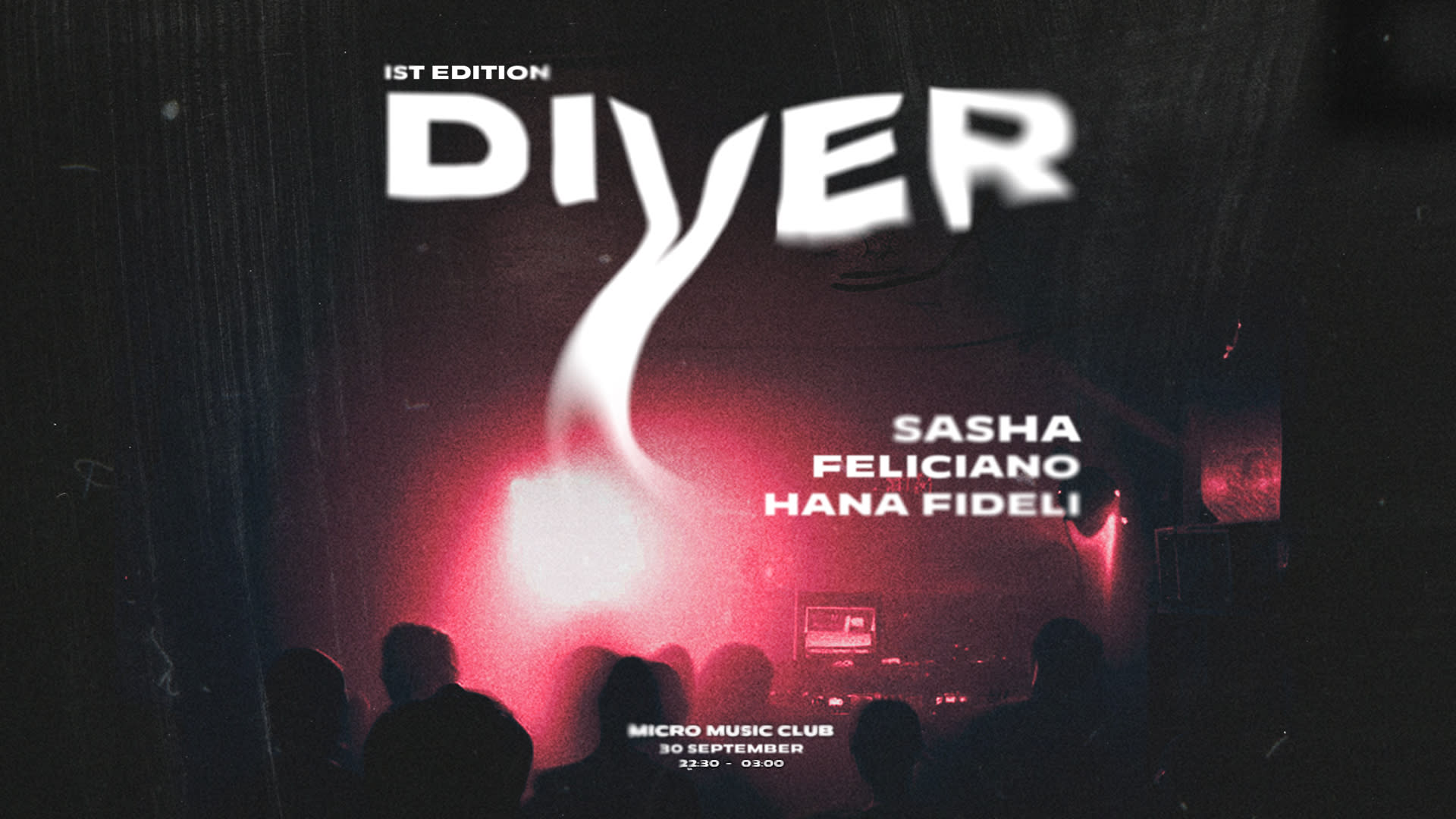Diver | 1st Edition Cover