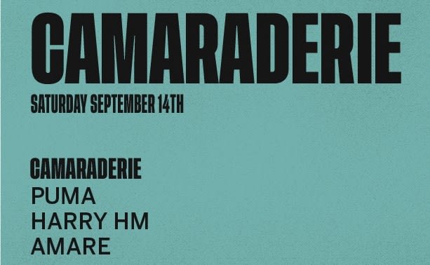 Camaraderie At Mad Radio Cover