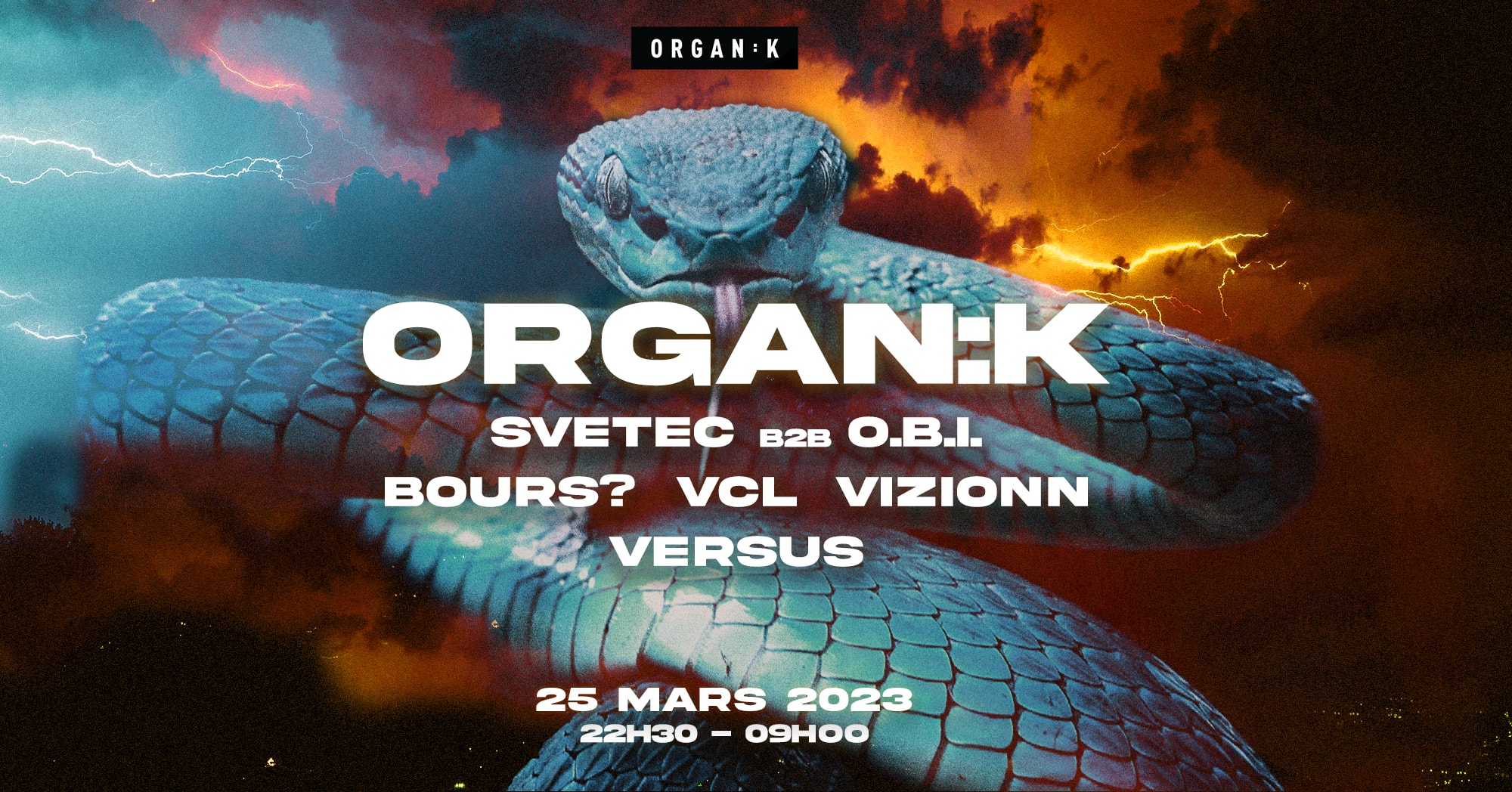 Organïk : Warehouse Cover