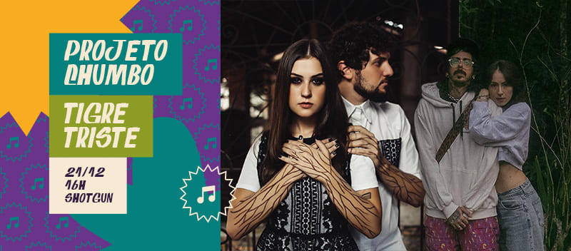 Projeto Chumbo // Tigre Triste Cover