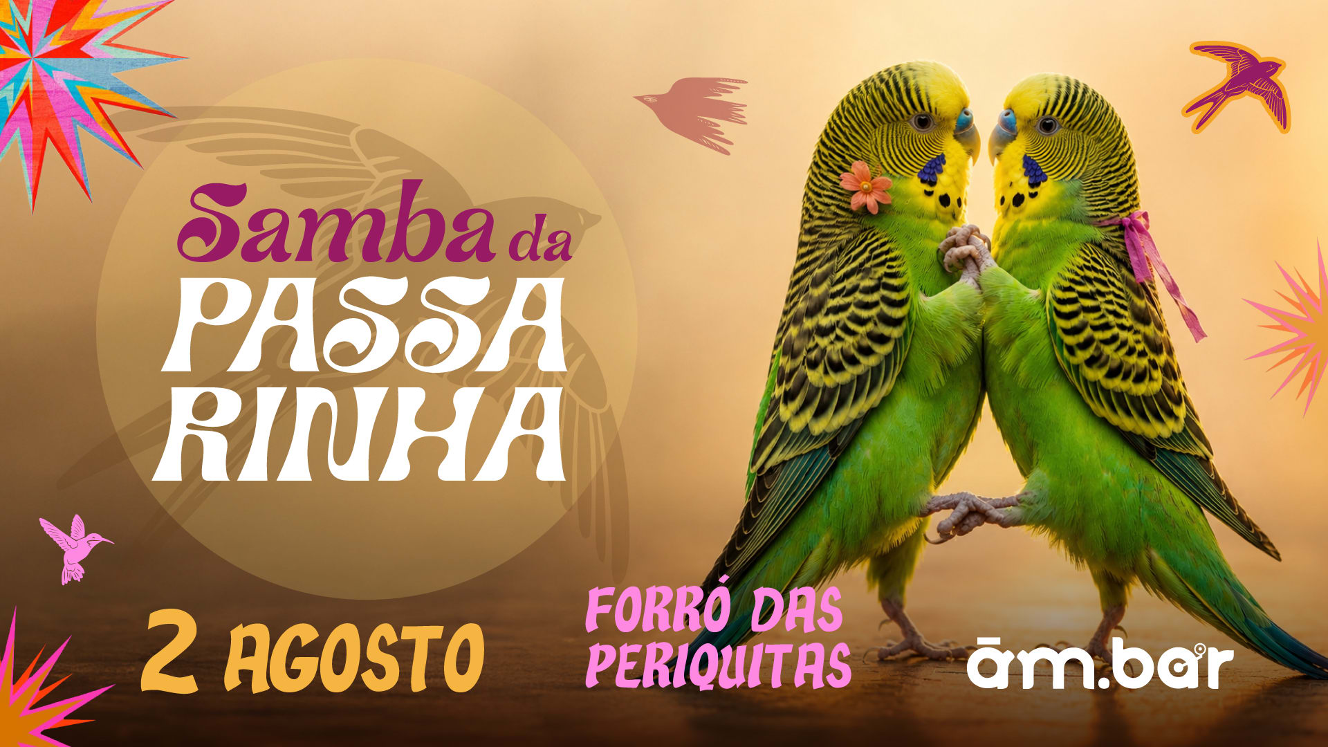02/08: Samba Da Passarinha Especial Forró Das Periquitas Cover