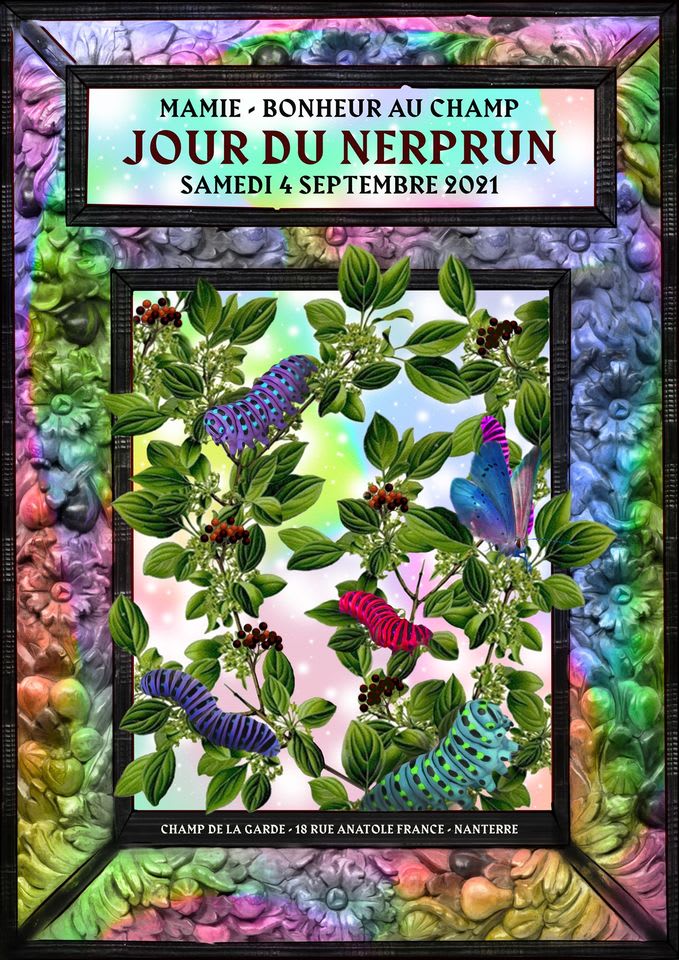 Mamie-Bonheur Au Champ : Jour Du Nerprun Cover