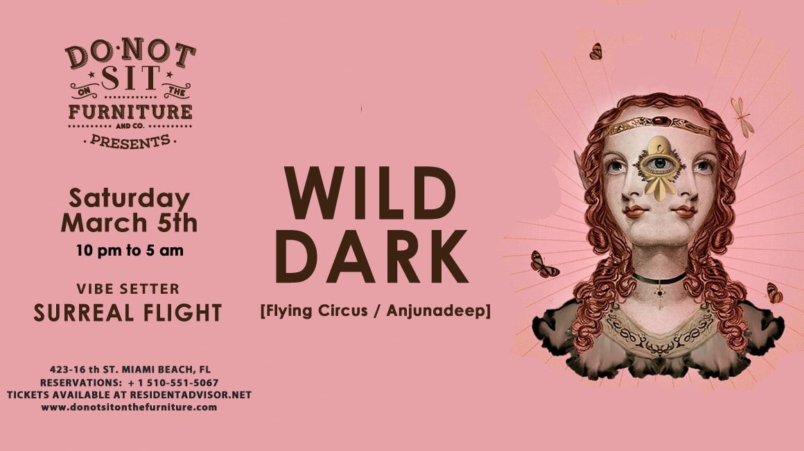 Wild Dark [Flying Circus / Anjunadeep] Cover