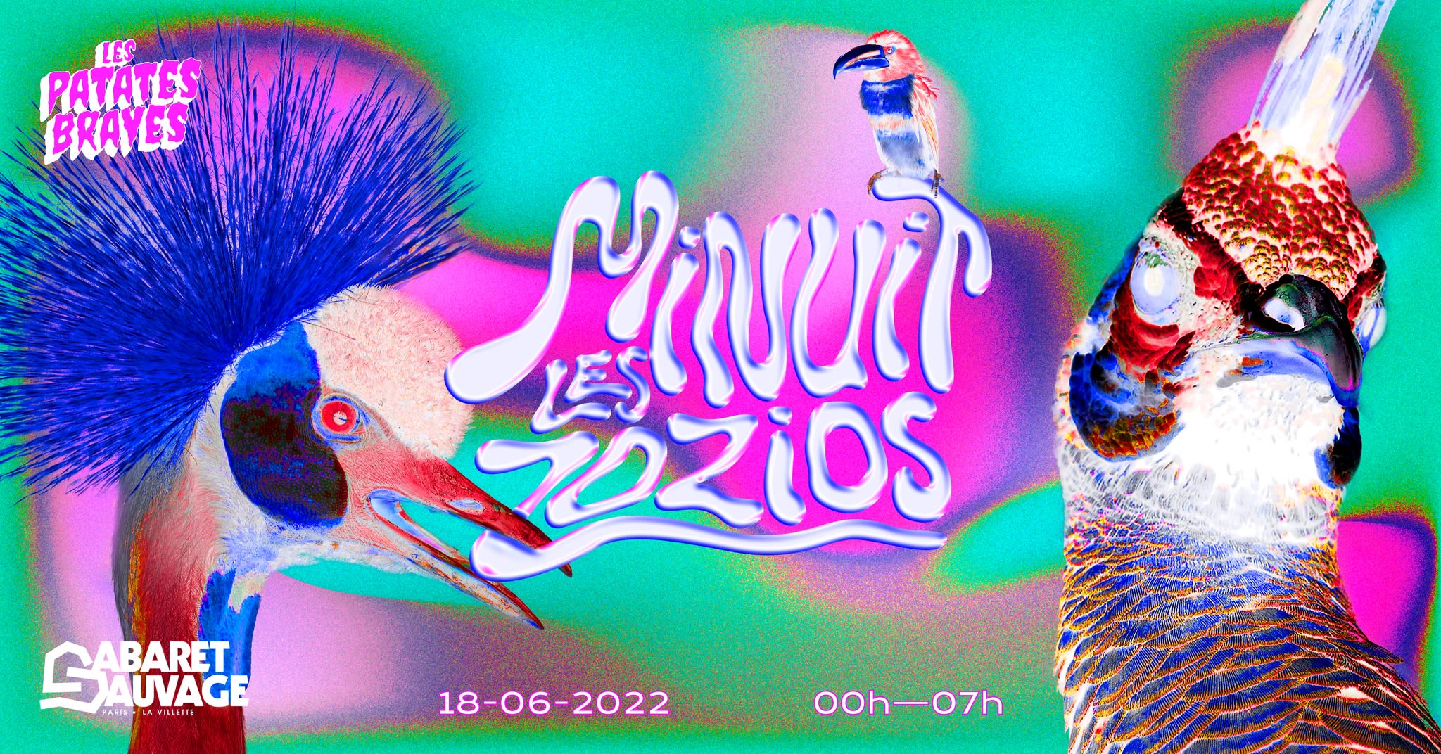 Minuit Les Zozios Cover