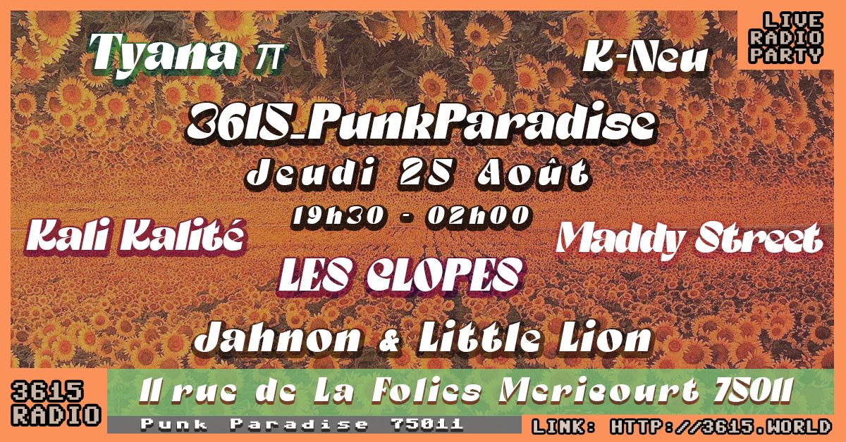 3615_Punkparadise Cover