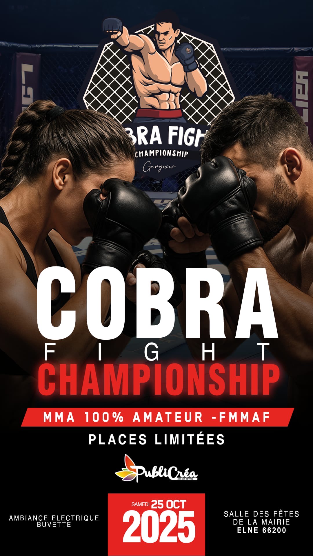 Cobra Fight Champiship Cover