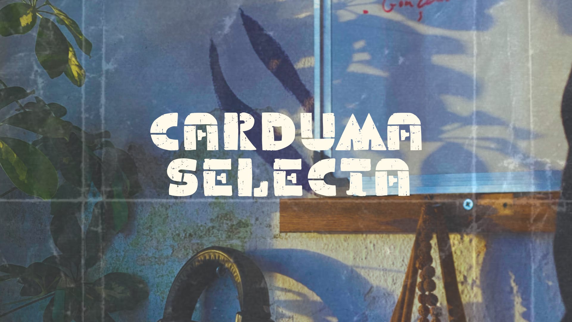 Carduma Selecta Cover