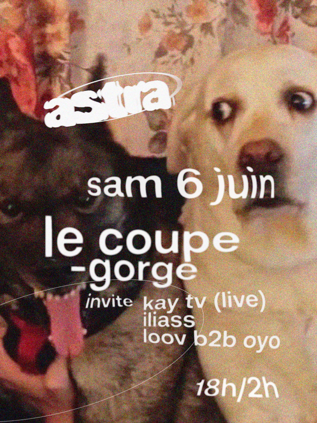 Le Coupe Gorge & Friends Cover