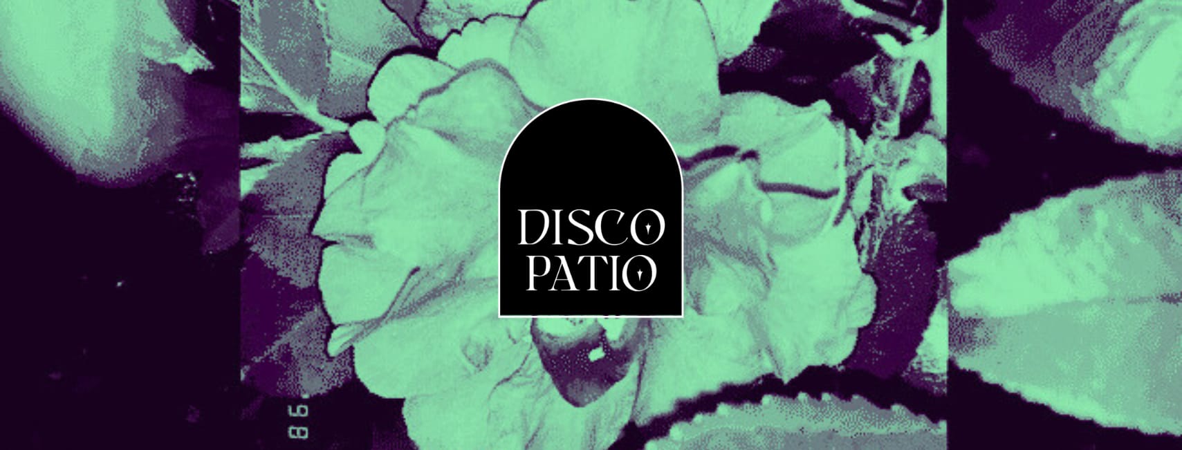 Disco Patio XII "Close-Knit Session" Cover