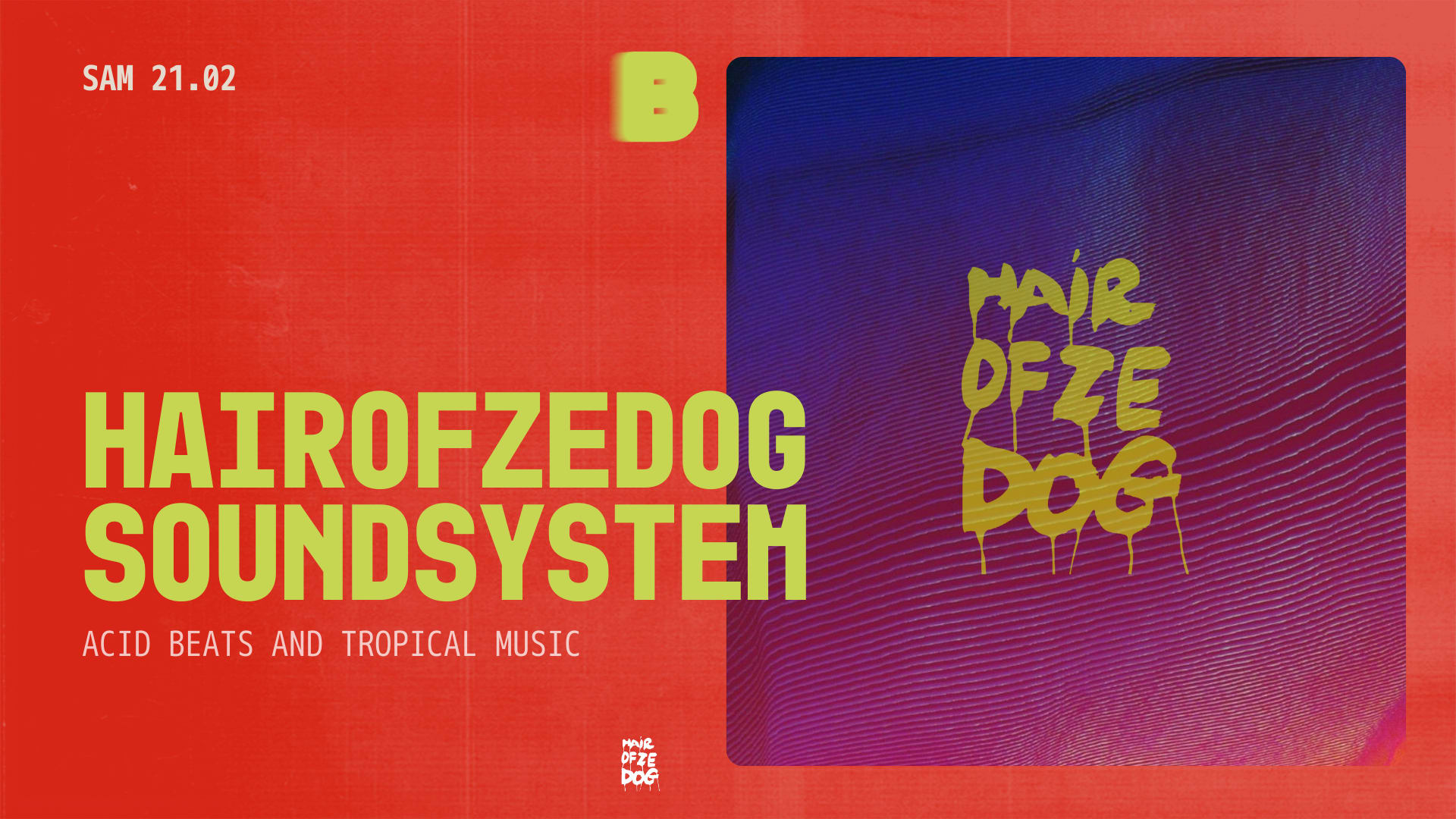 Hairofzedog  Sound System Cover
