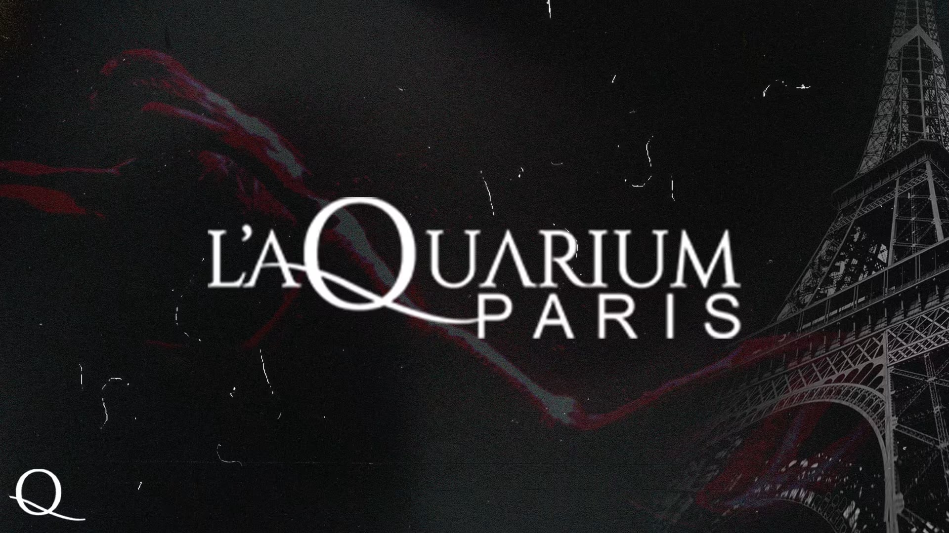 L’Aquarium Le Club Paris | Renaissance IV Cover