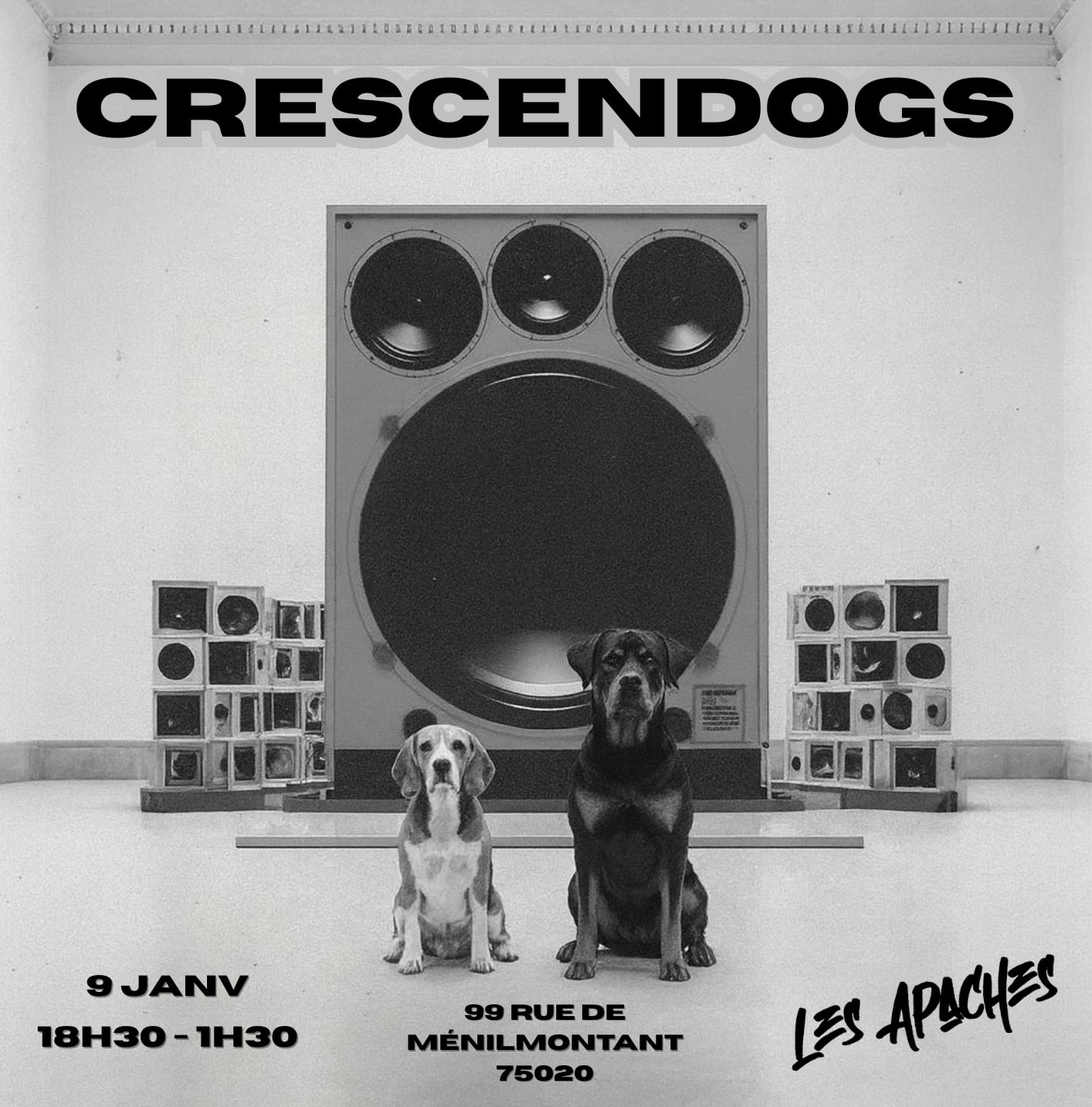 Crescendogs #2 - Dogs & Bass Cover