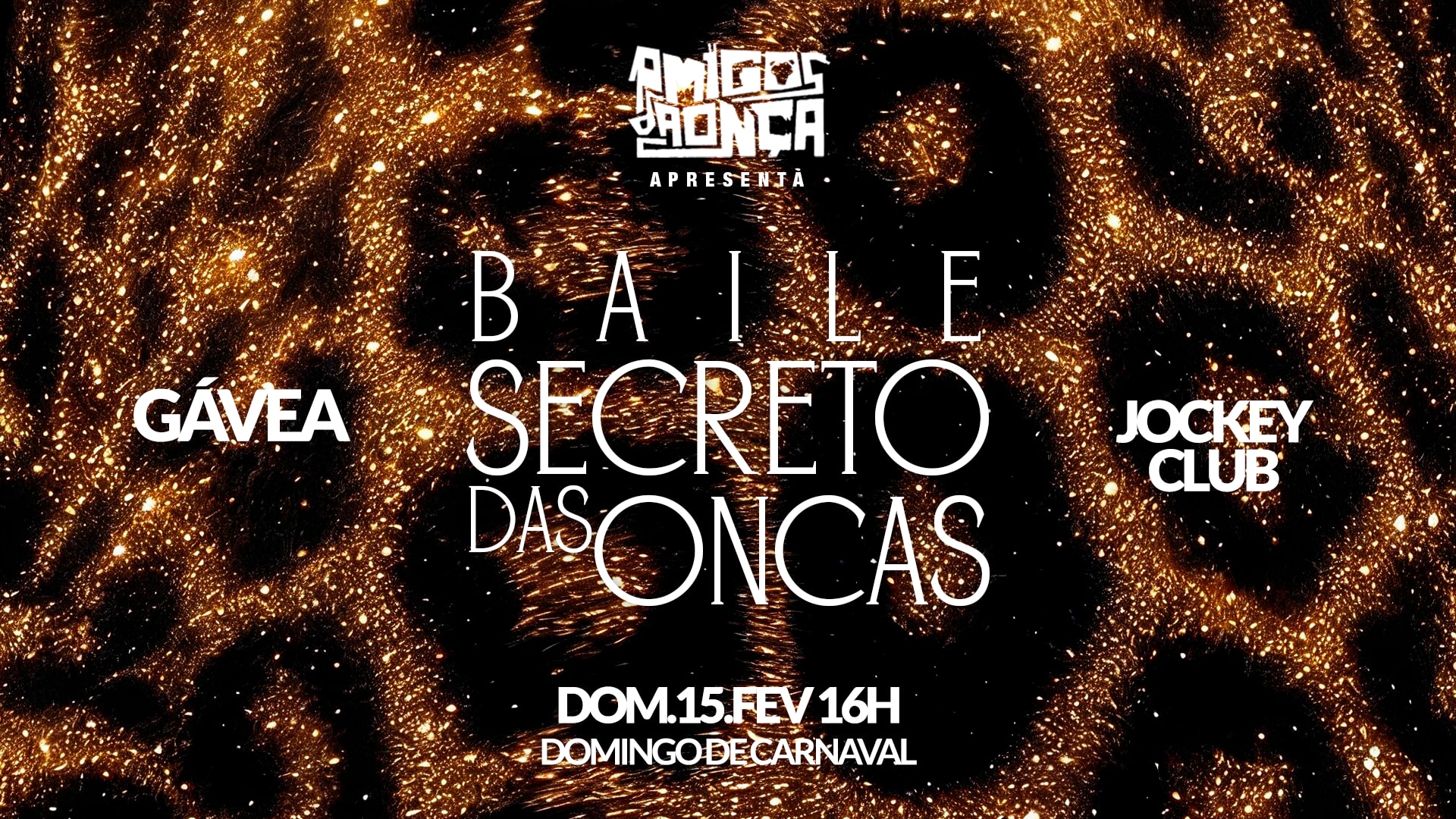 Baile-Bloco Secreto Das Onças Cover