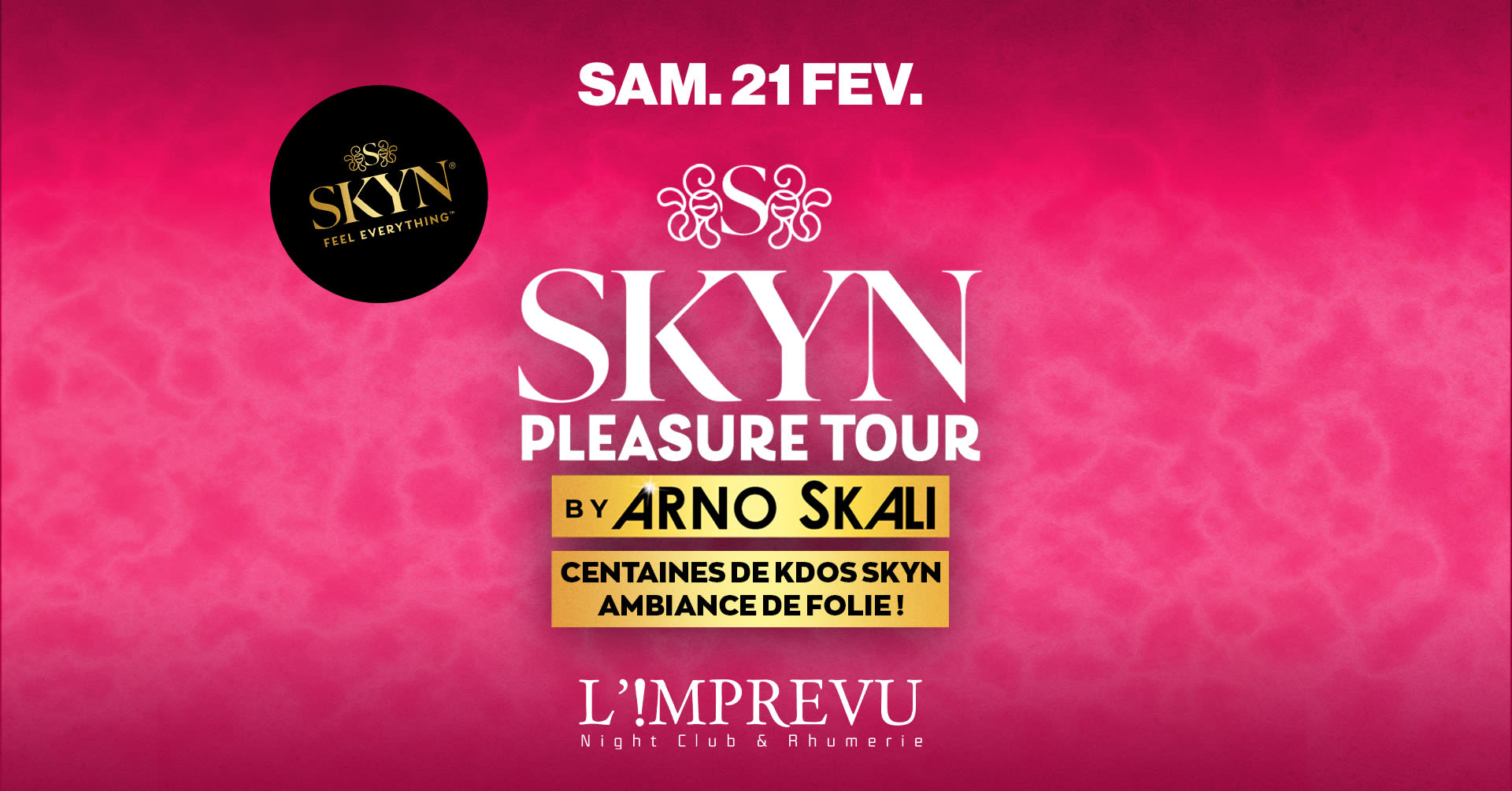 Skynn Pleasure Tour Cover