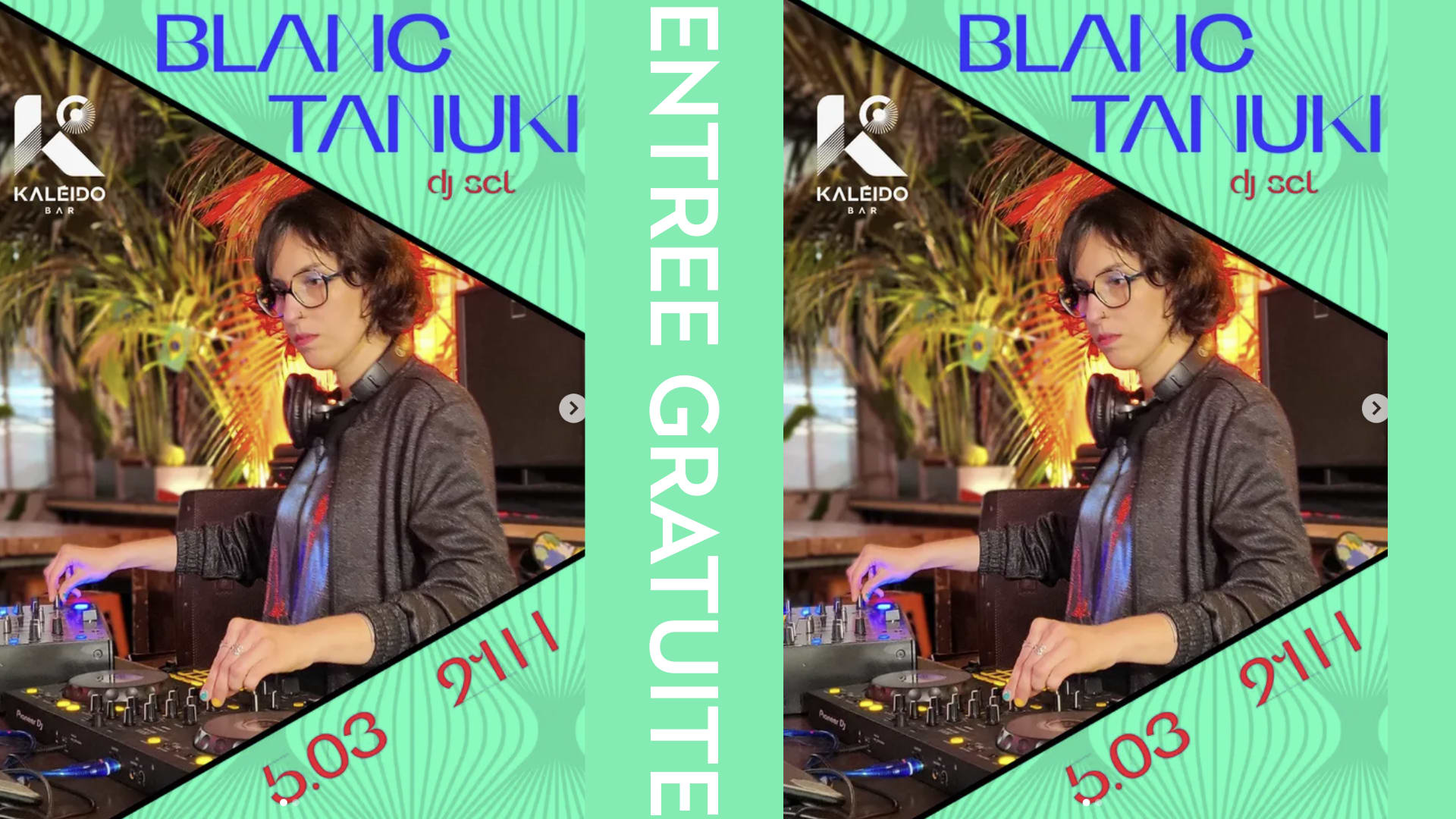 Blanc Tanuki (Organic/Synth/Melodic House) Cover