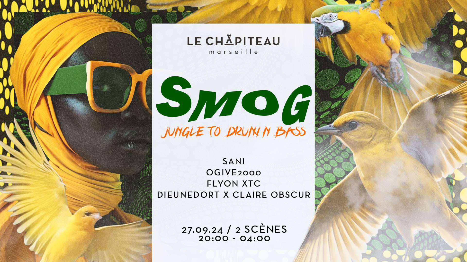 Smog : Sani, Ogive2000, Flyon Xtc Dieunedort & Claire Obscur Cover