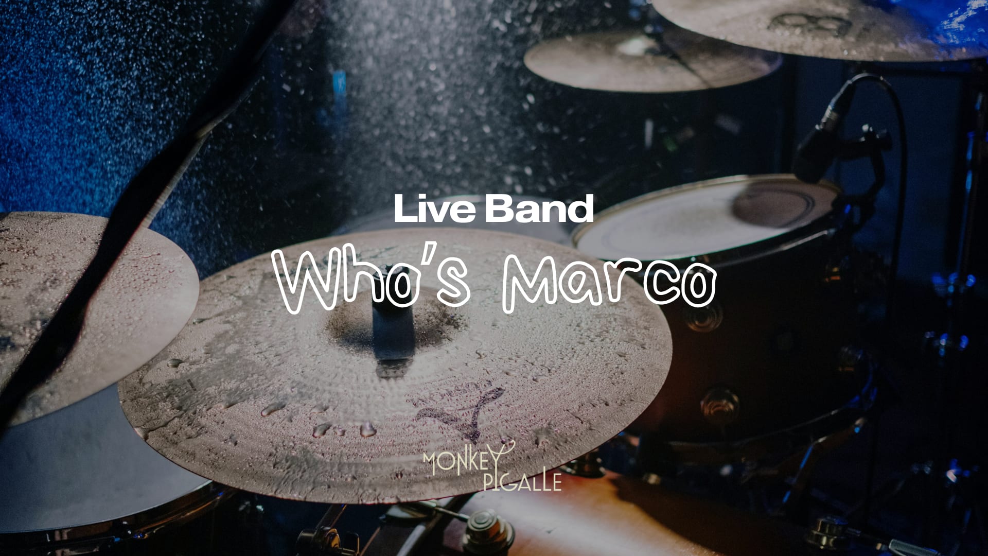 Concert Live Band Who's Marco Cover