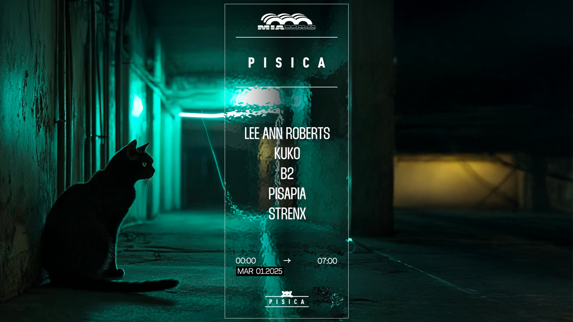 Pisica : Lee Ann Roberts, Kuko, B2, Pisapia, Strenx Cover