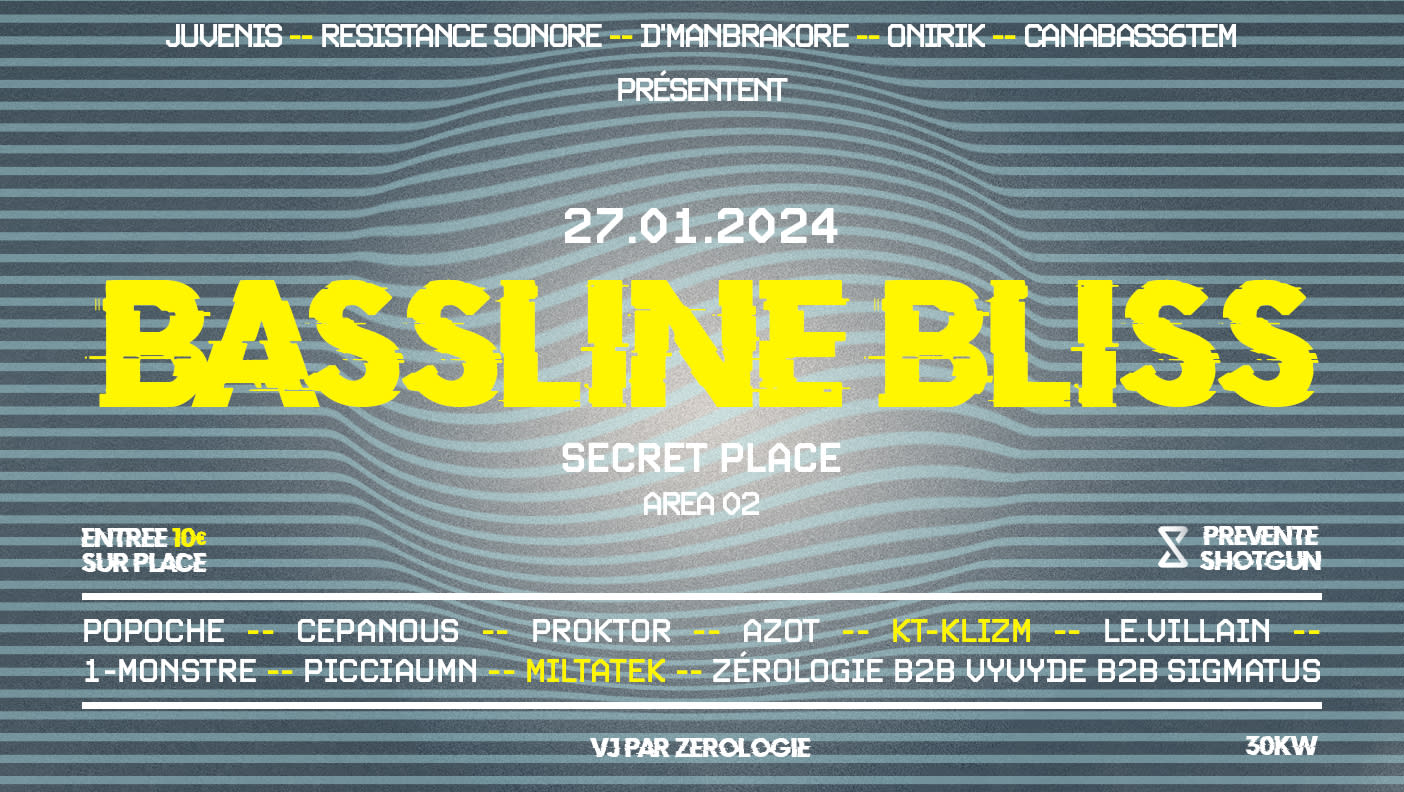 Bassline Bliss Cover