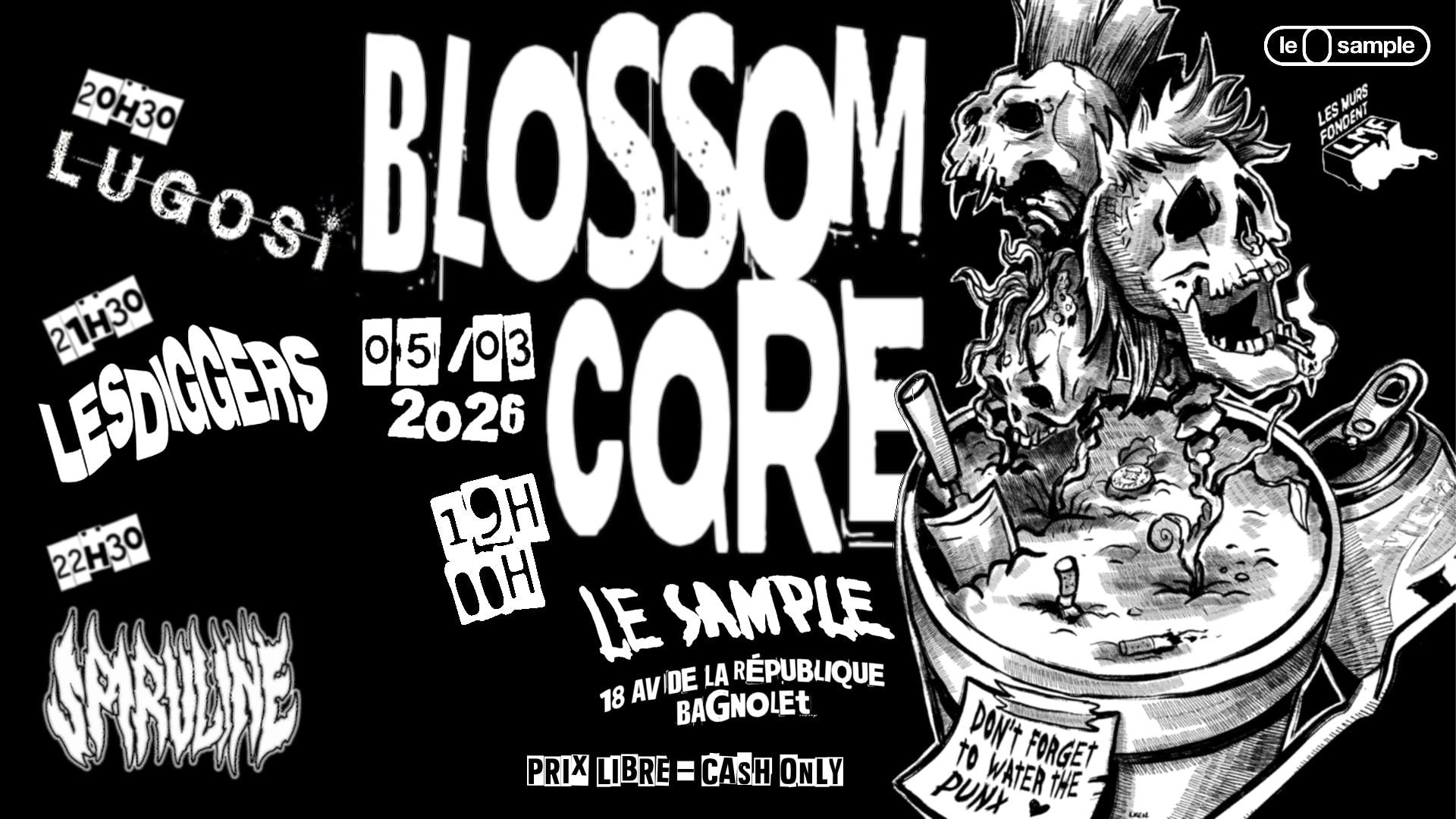 Blossomcore (Don't Forget To Water The Pxnks) Cover