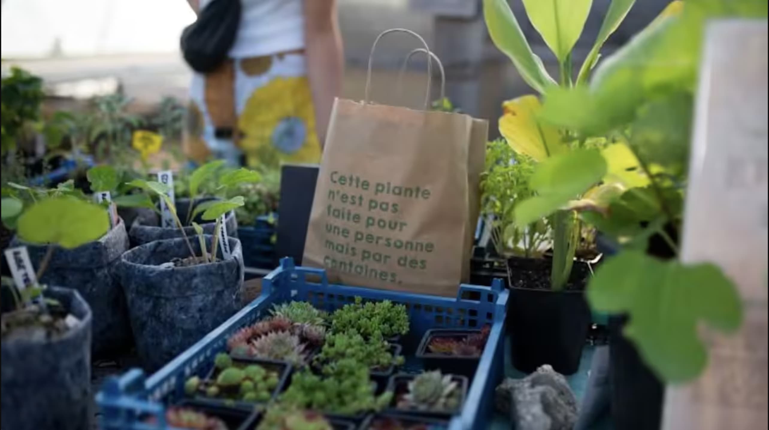 Bénévolat De Mai - La Prairie Du Canal Cover