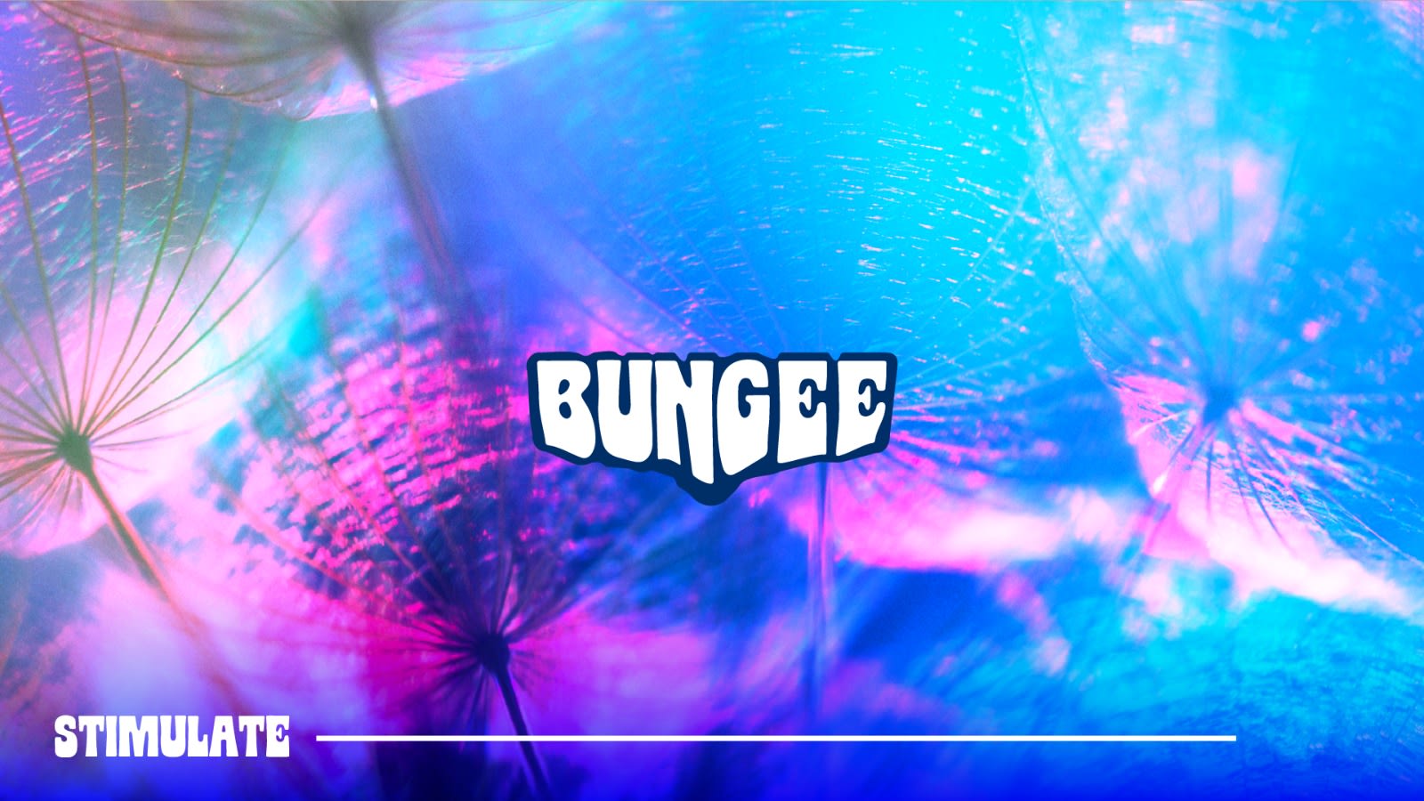 Bungee Showcase | Sunday 8 Mar • Sinners • Free Entry Cover