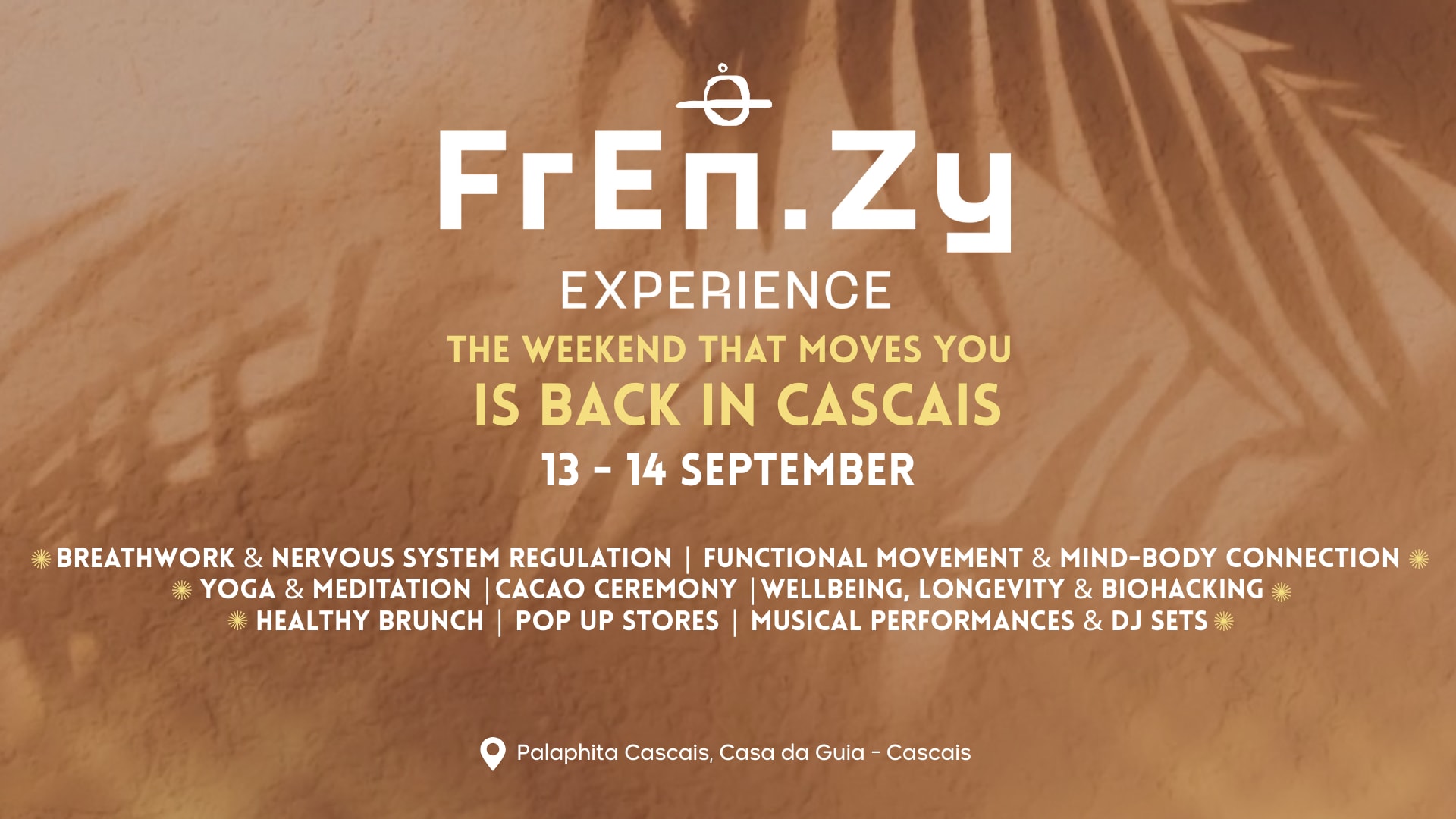 Fren.Zy Experience 2025 Cover