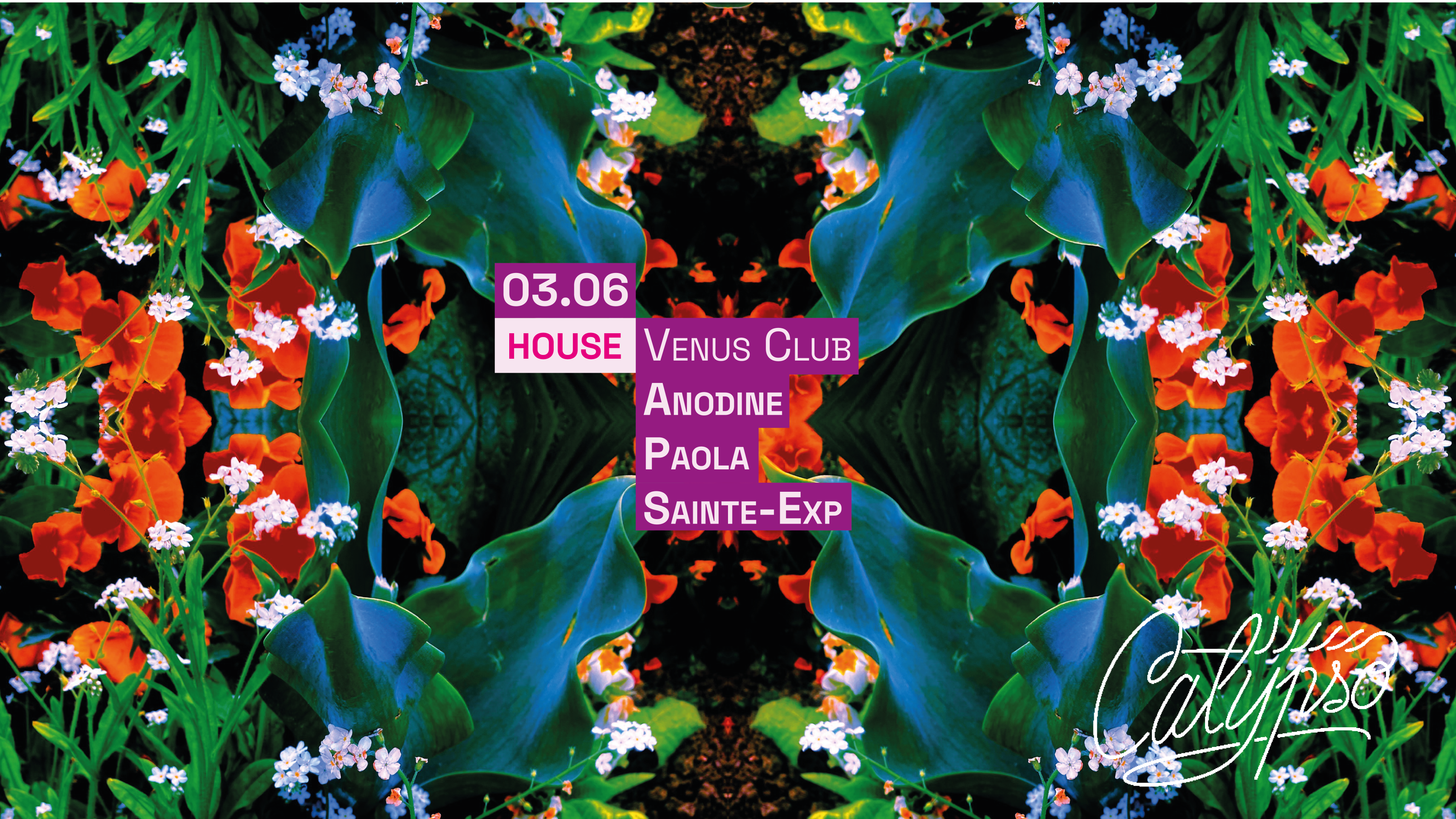 Club Calypso : Venus Club Cover