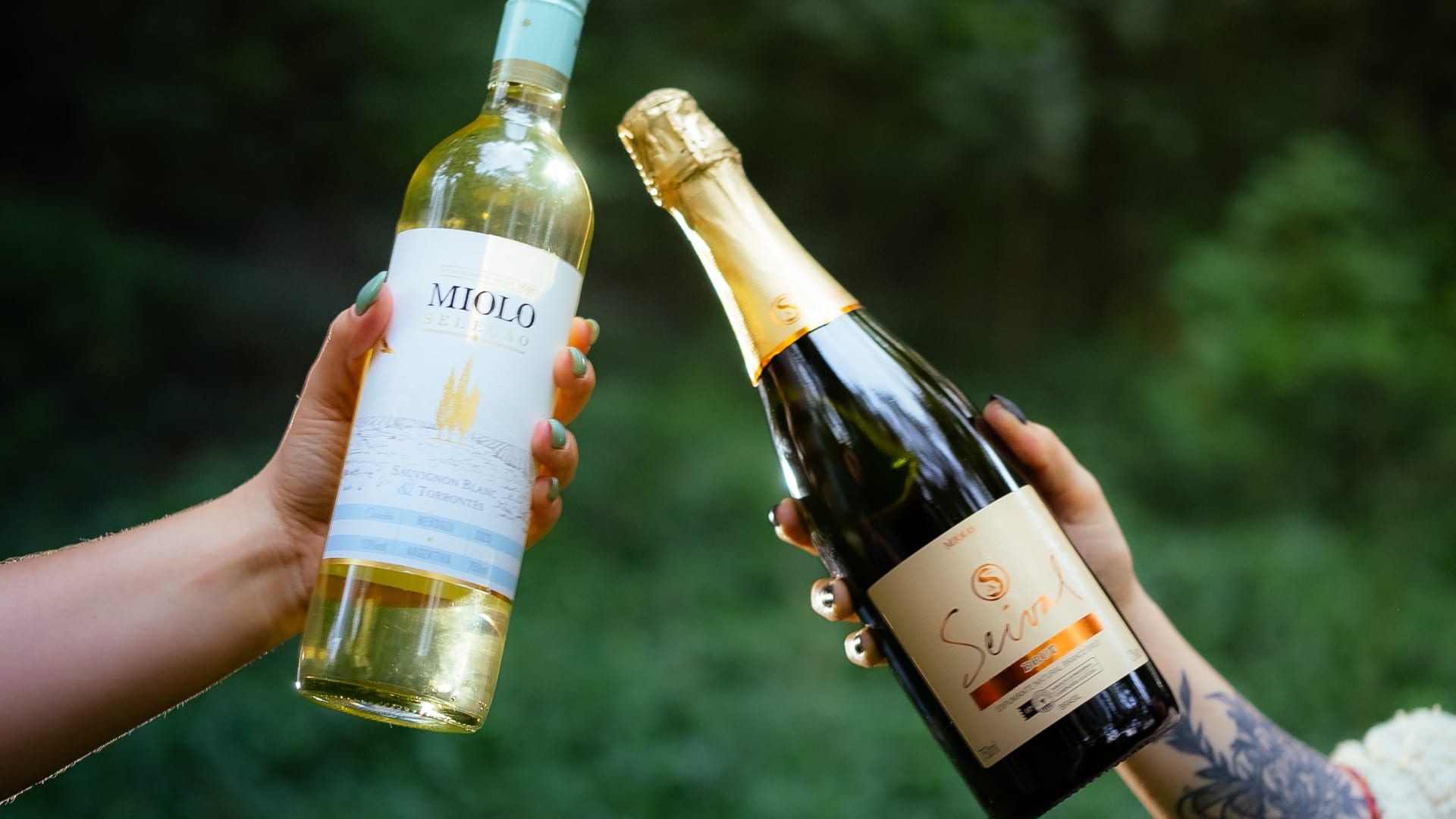 Vinhos & Vinil Cover