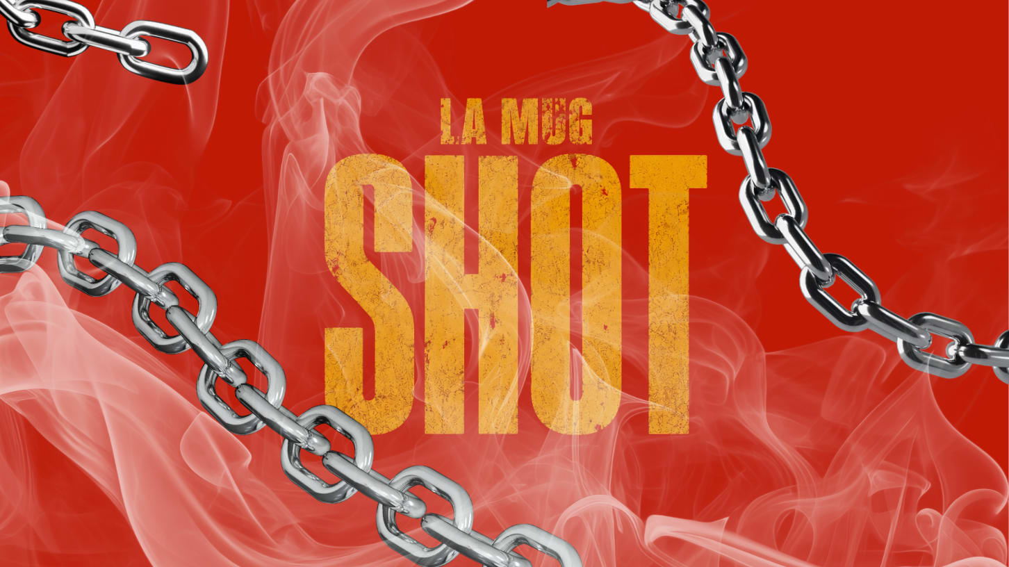 La Mugshot — Édition #1 🫆🔎 Cover