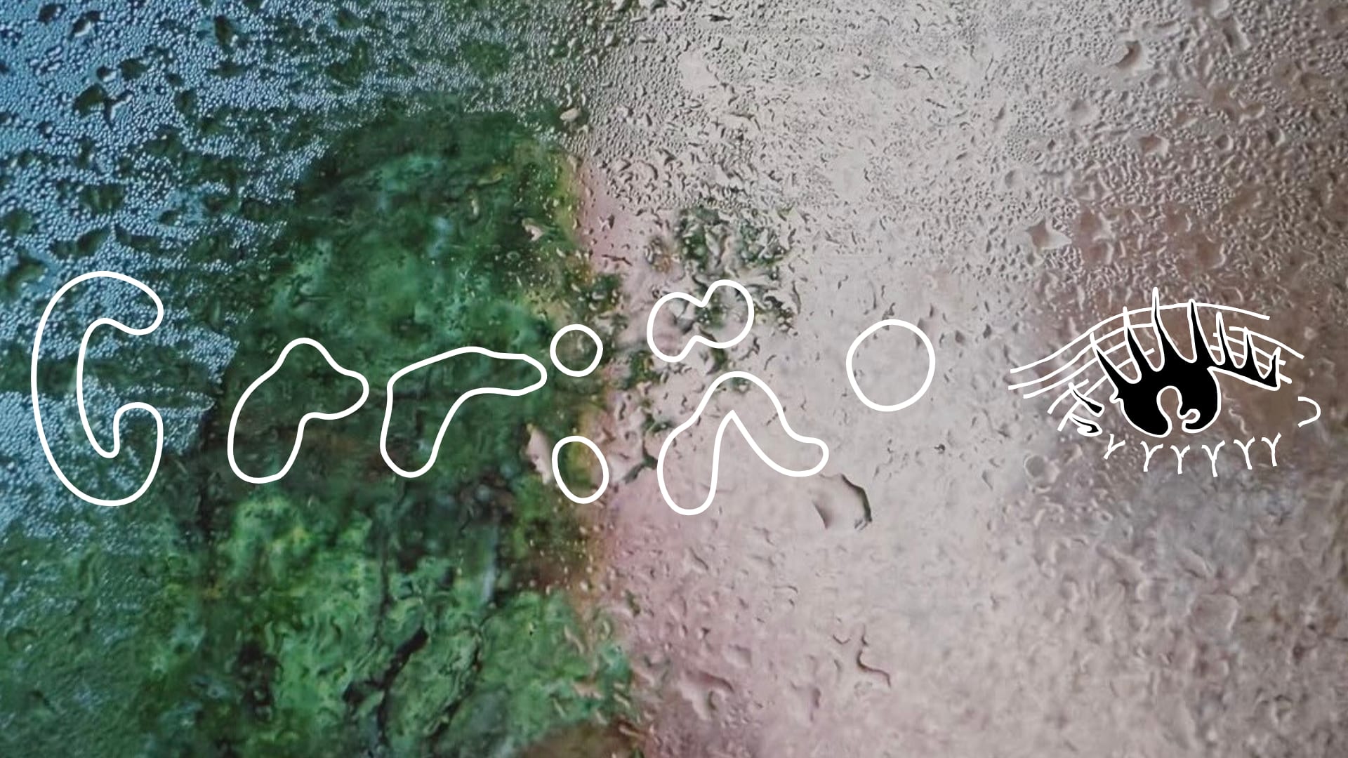 Cariño Primeiro Ato Cover