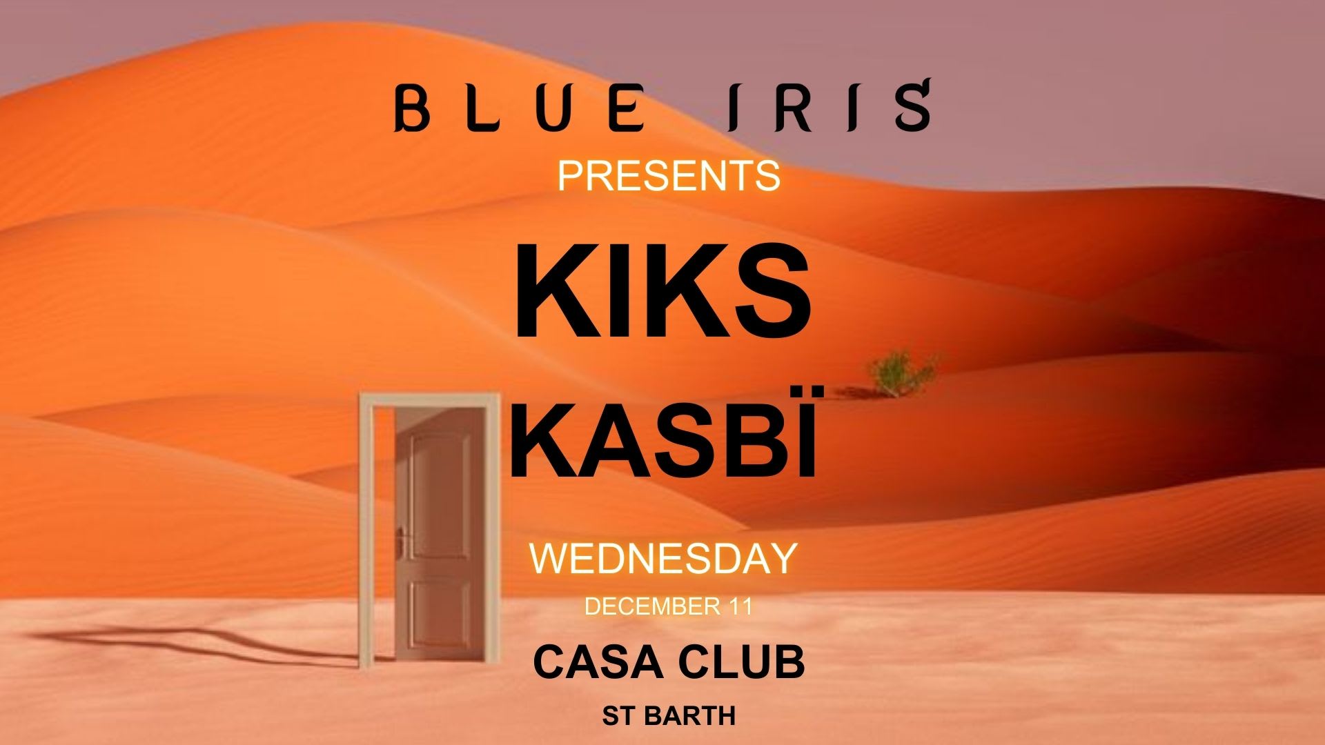Blue Iris X Casa Club - 11 Décembre 2024 Cover