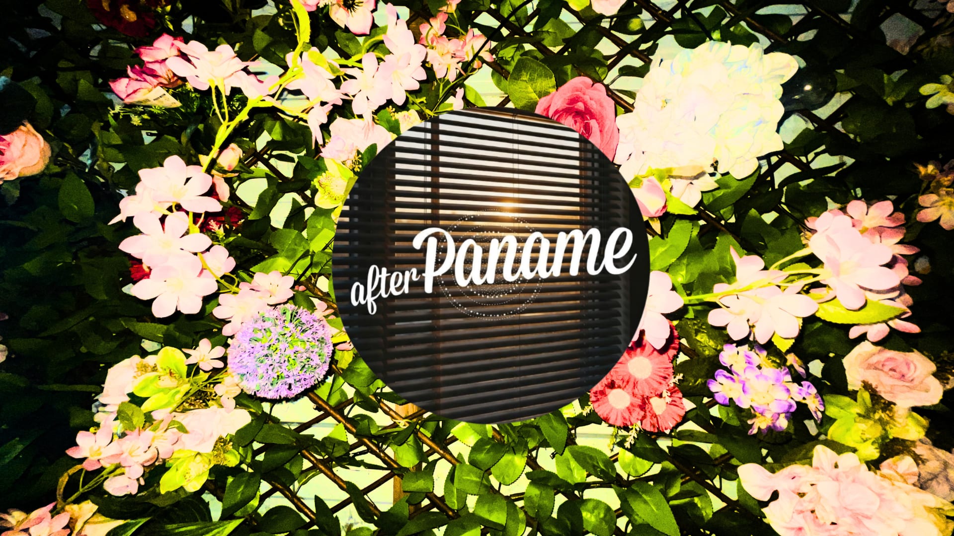After Paname Ou L'altération Du Temps #2 Cover