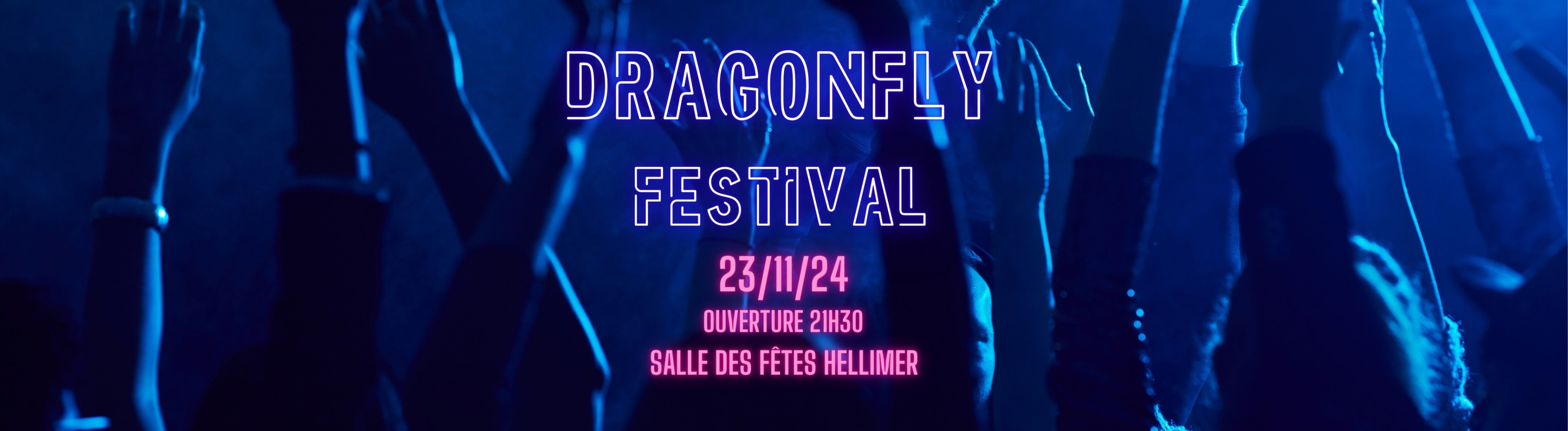 Dragonfly Festival Cover