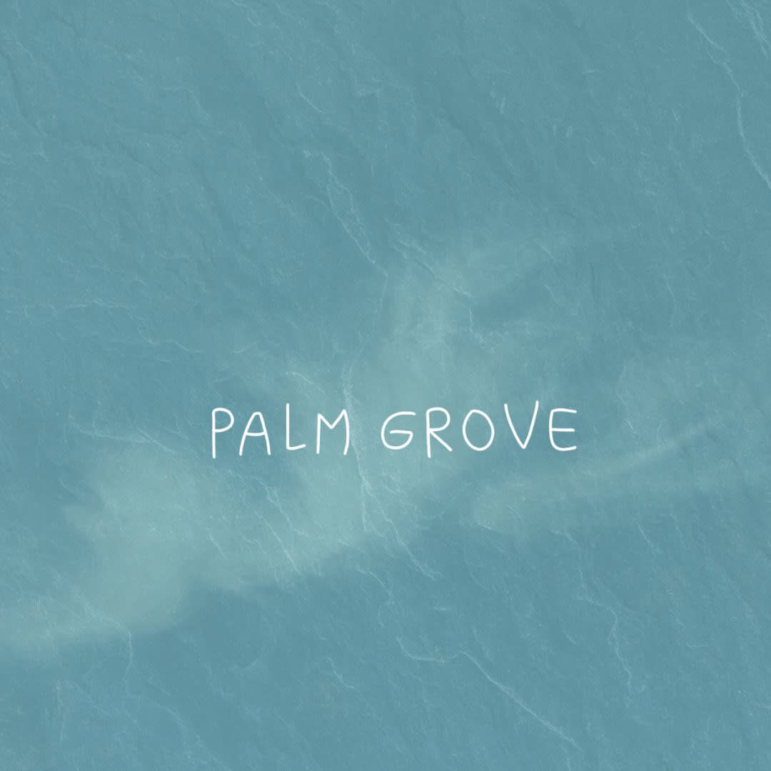 Palm Grove III Cover