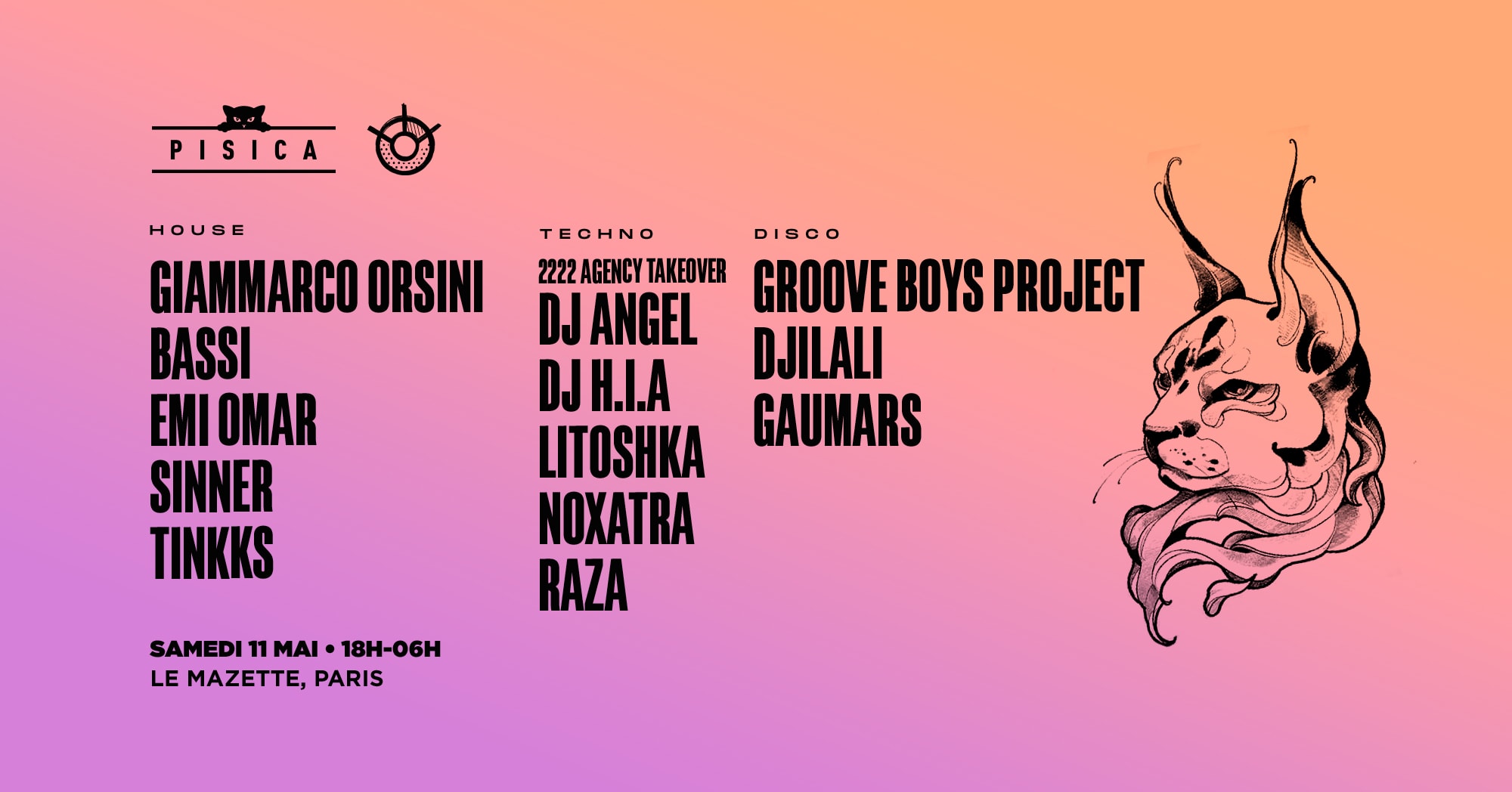 Pisica : Summer Breeze Cover