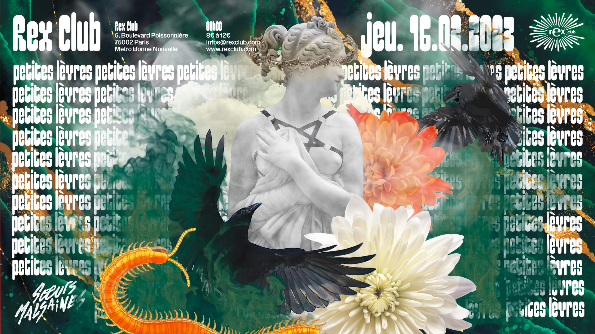 Petites Lèvres: Audrey Danza, Le Saint, Tolvy (Live) & More Cover