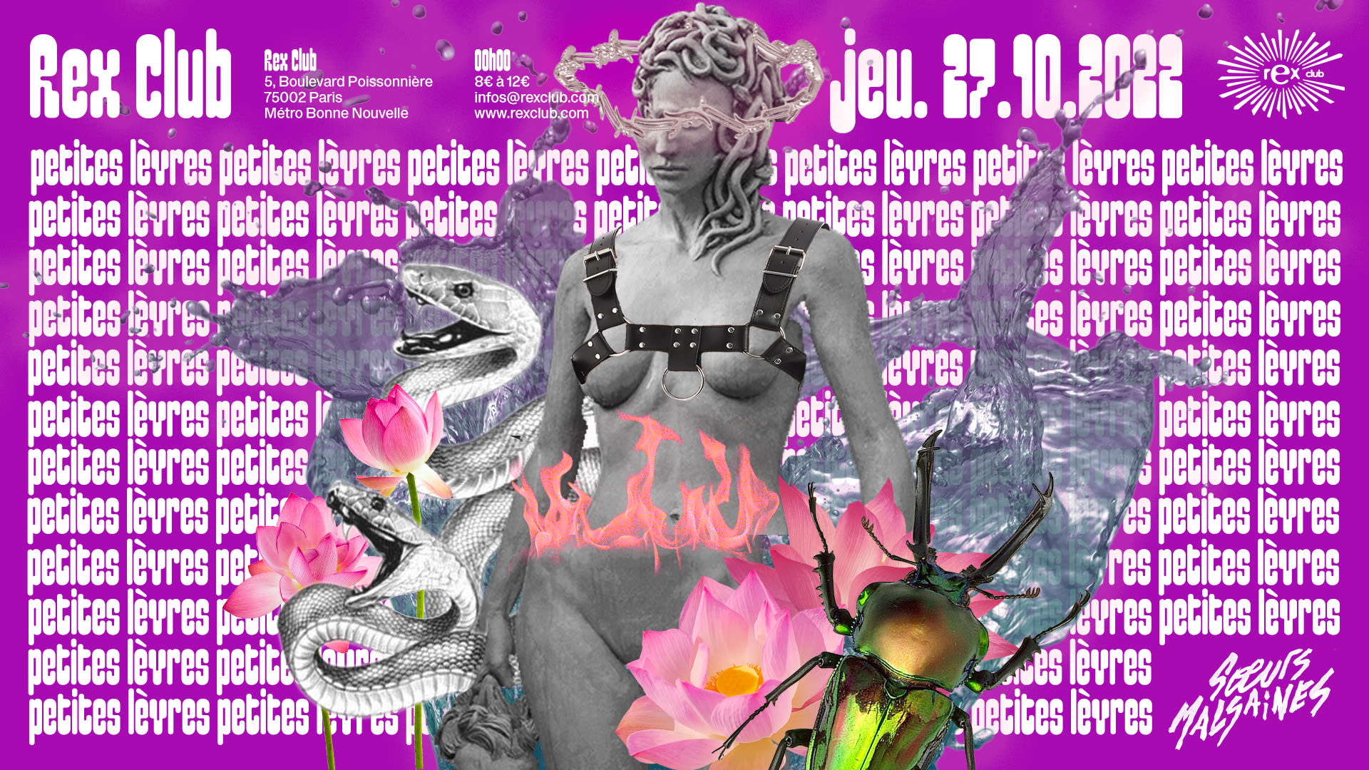 Petites Lèvres, Soeurs Malsaines Célèbre Désire & More Cover