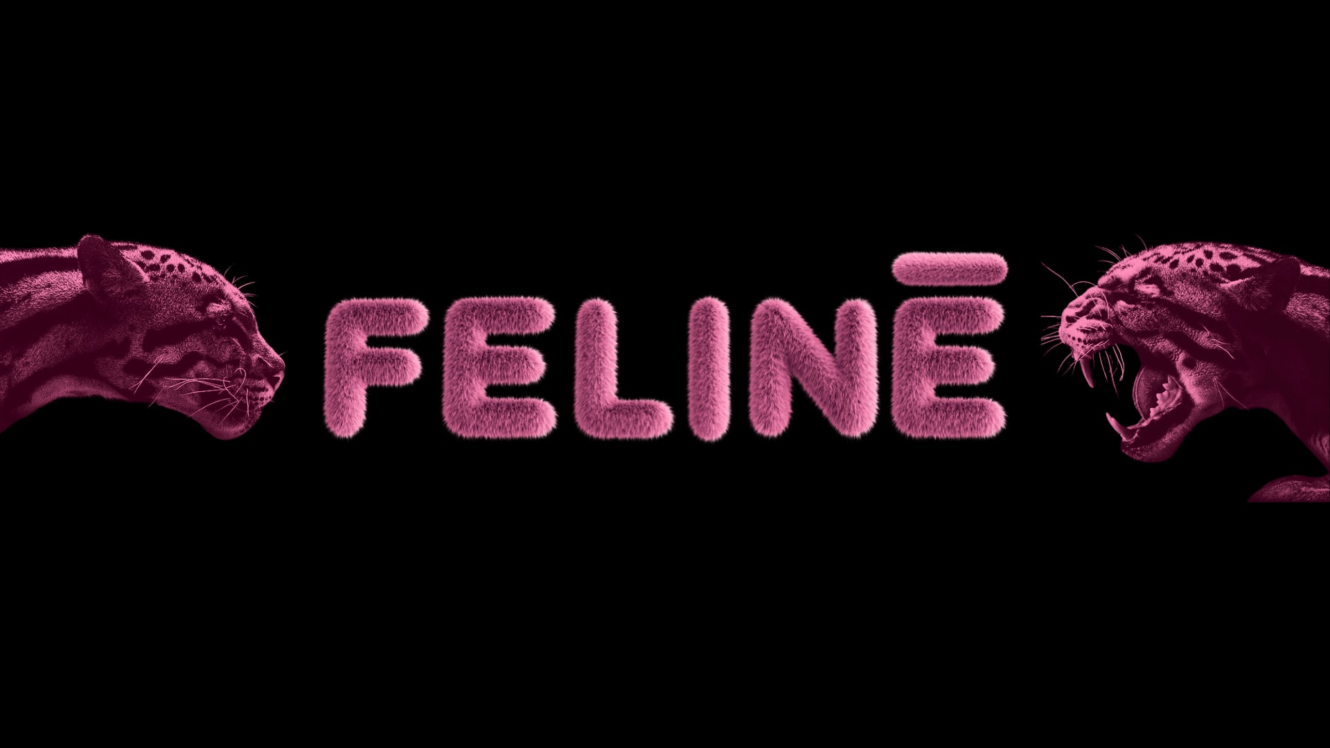 Feliné B-Day Gi Martins Cover