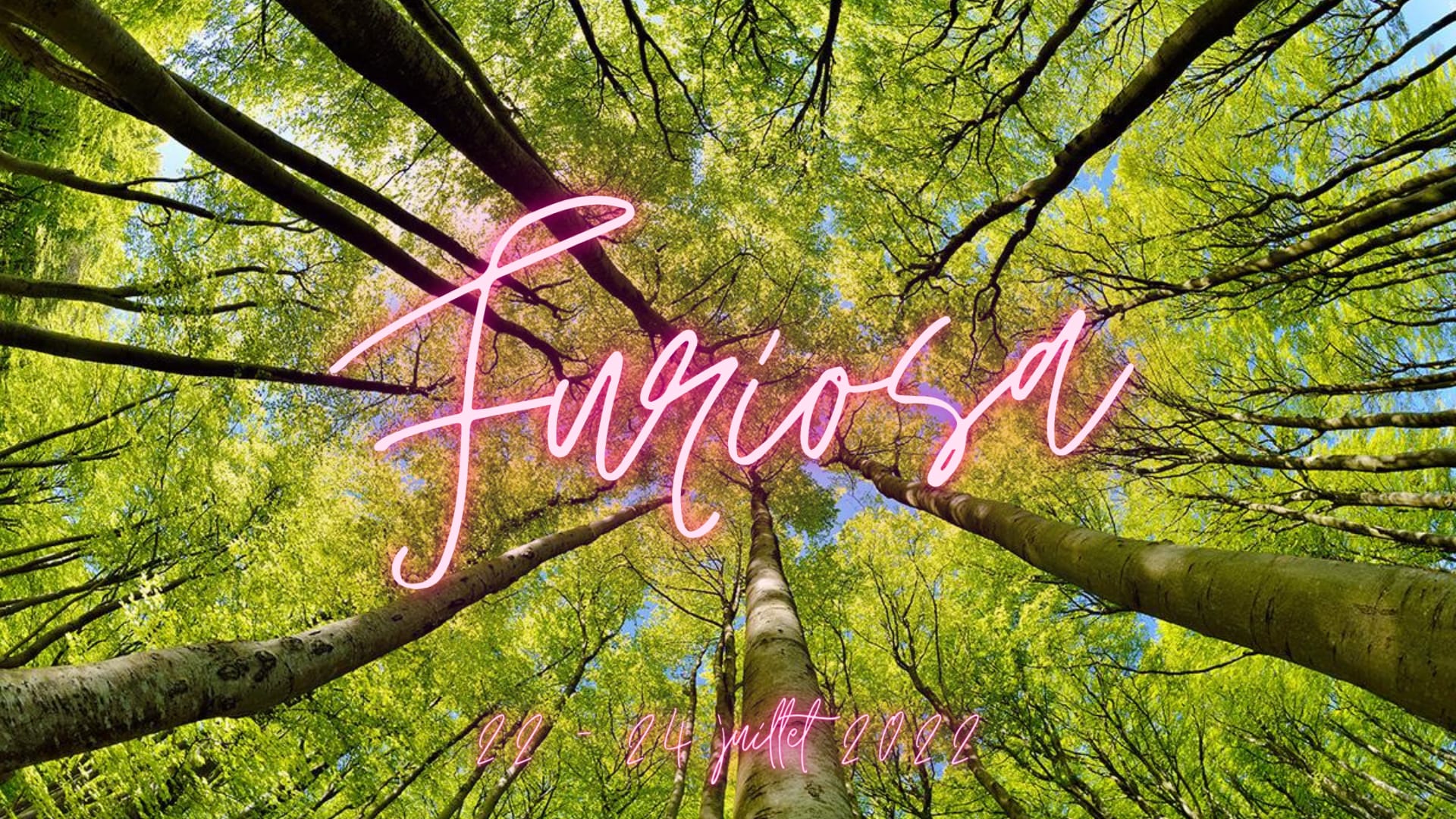 ↠ Ayahuasquero ↞ Par Furiosa Cover
