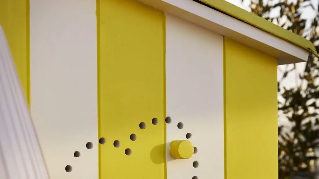 Cours De Yoga 26/04 Cover