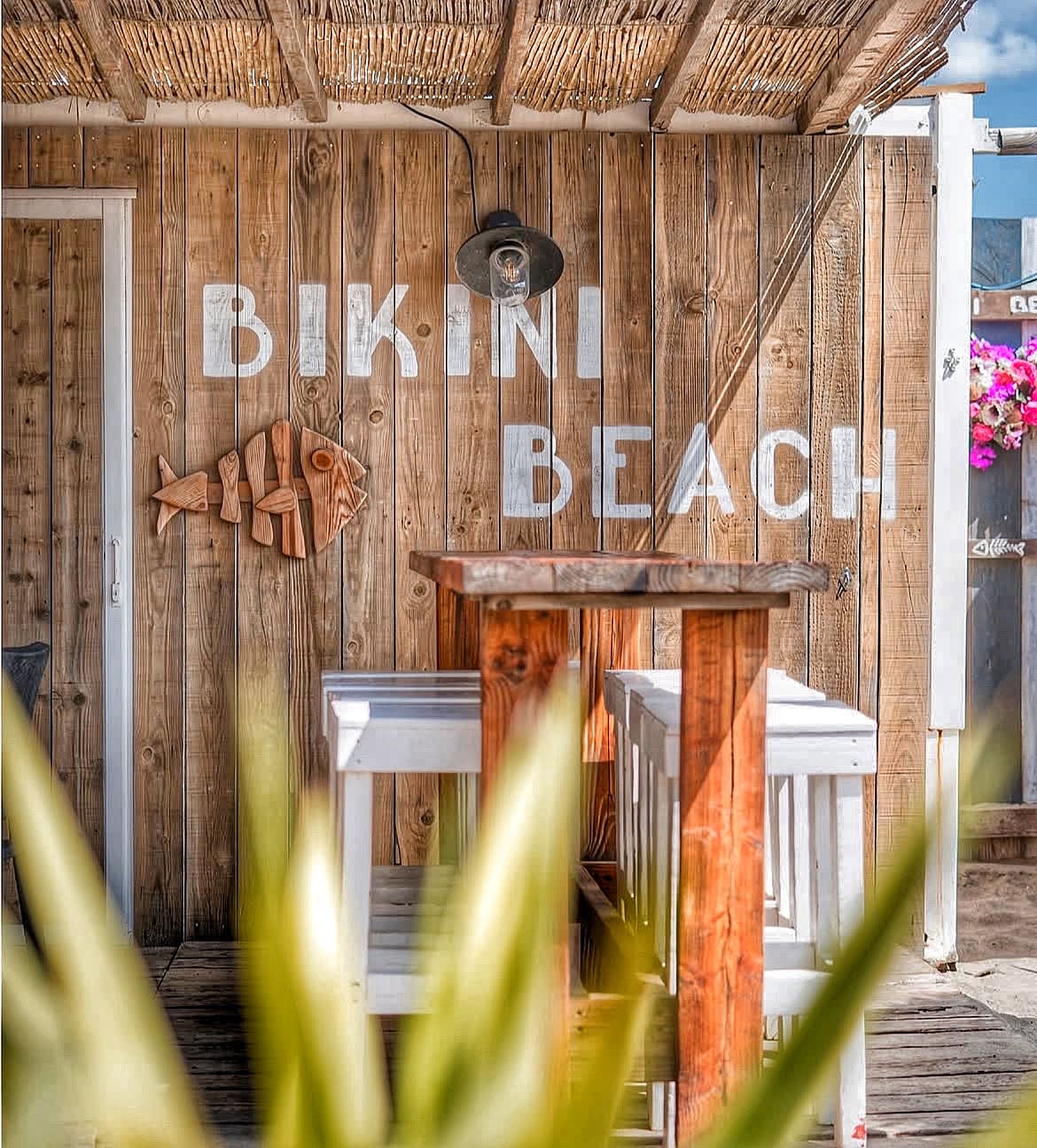 Afro Sun By Bikini Cover