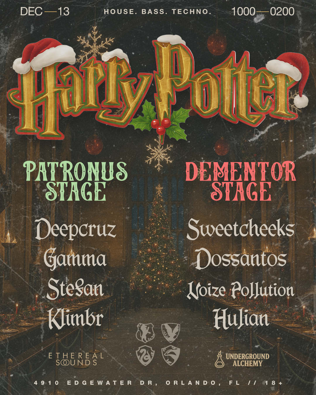 Harry Potter Rave Cover