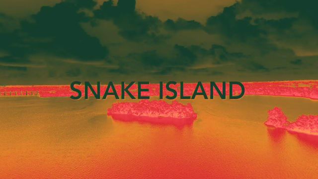 Snake Island 4.1 Cover