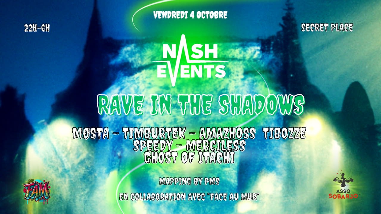 Rave In The Shadows Cover