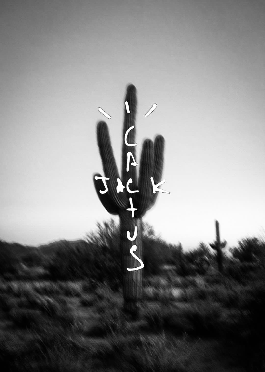 Cactus Jack @Deflower Pfw Tuesday / 30 Cover