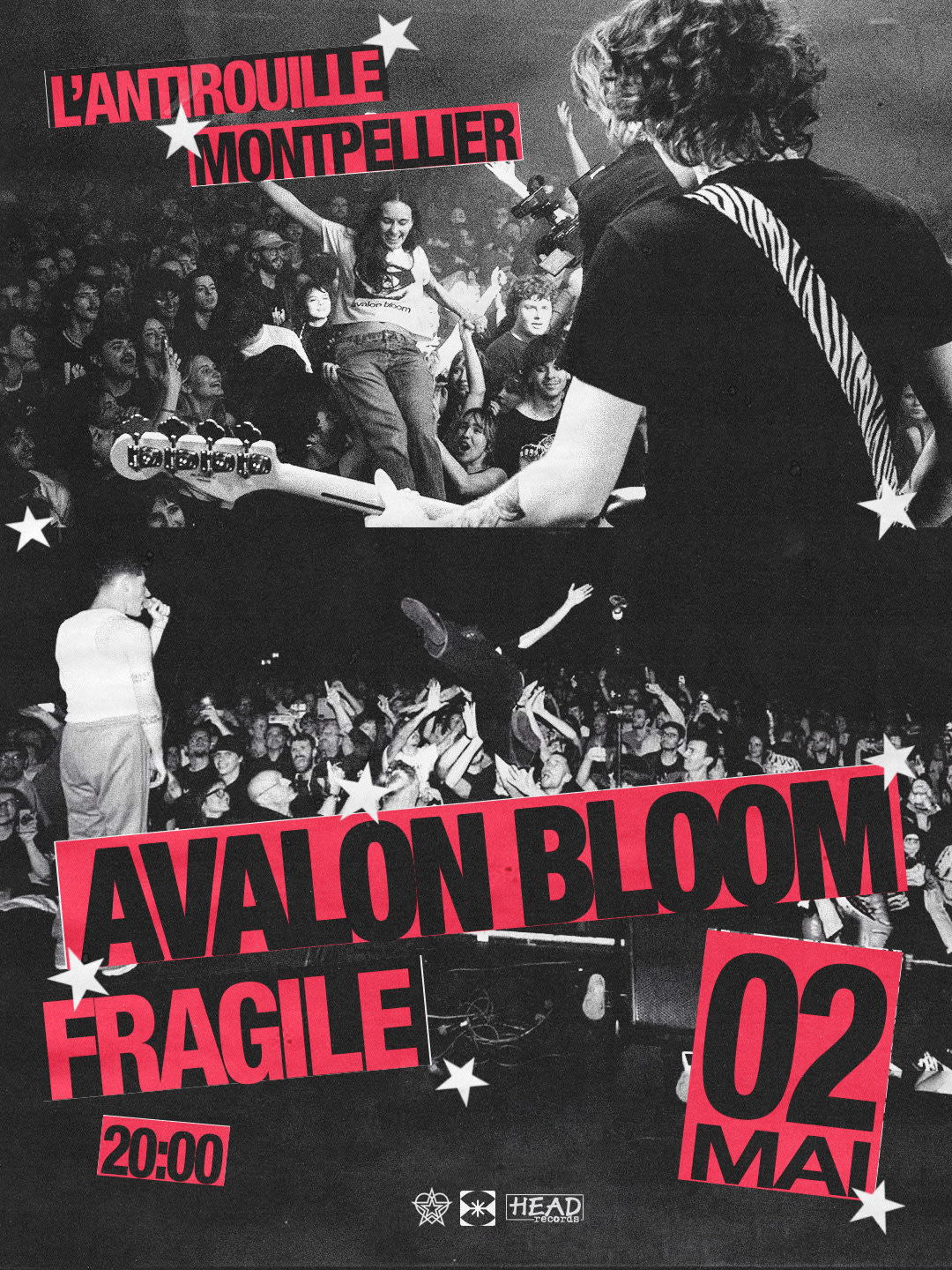 Avalon Bloom + Fragile Cover