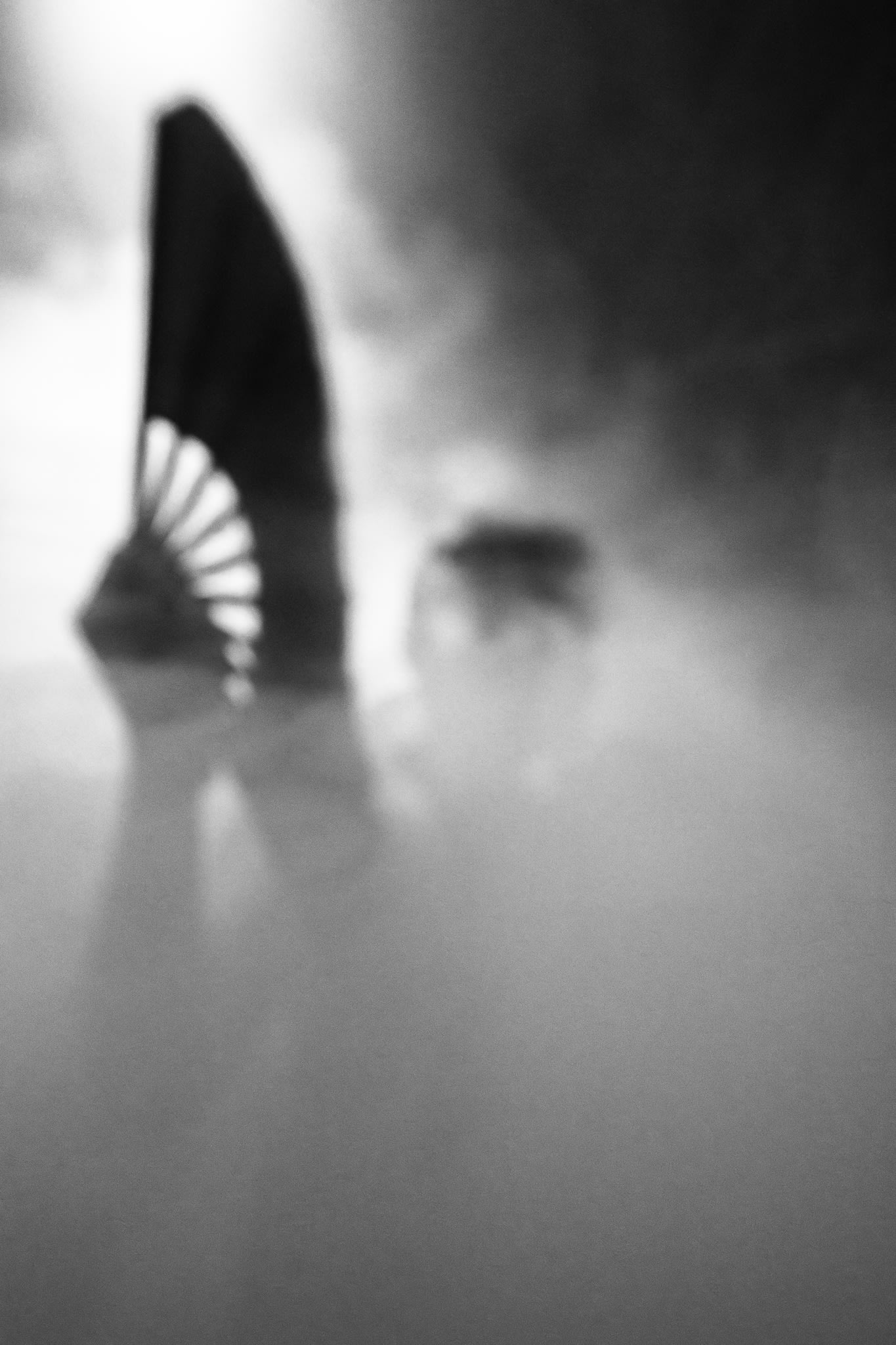 Sunday Services - Brooklyn 04:00 Am Cover