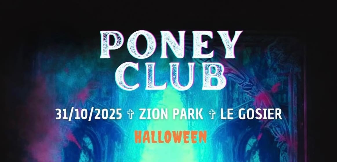 Poneyclub - We Are Halloween @Zion Cover